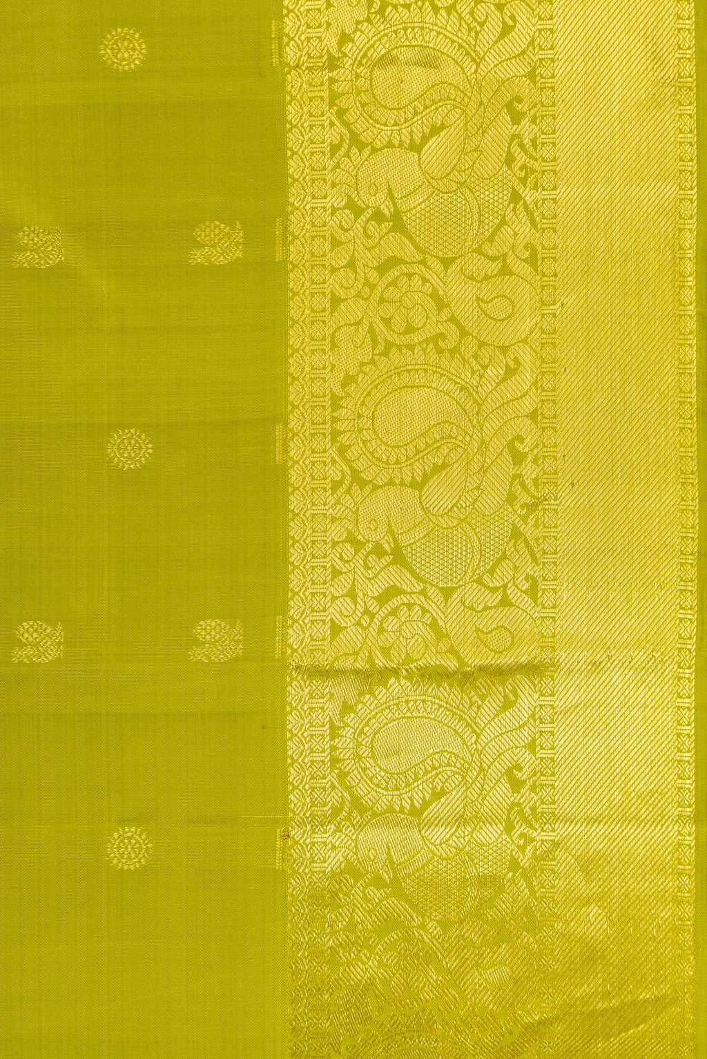 Border image of Parrot Green Dual Tone Kanjivaram Silk Saree with Zari Butta on the body and Zari Border. 