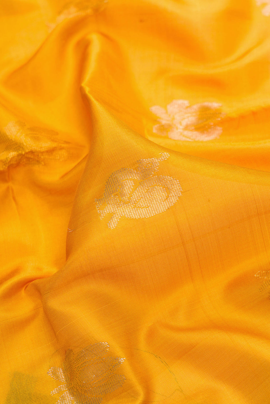 Close up of Mustard Dual Tone Uppada Silk Saree with Zari Butta on the body and Zari Border.  displaying folds