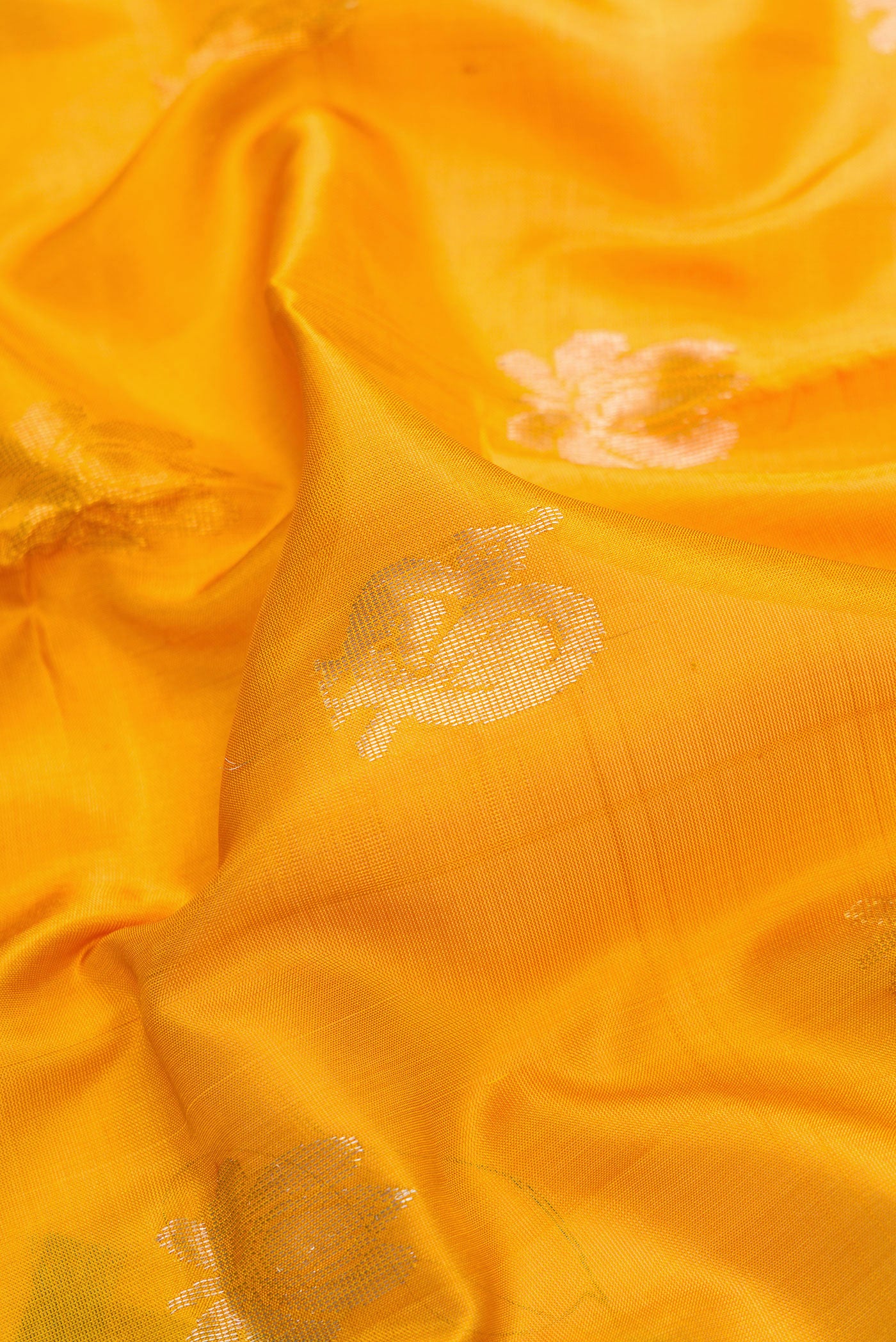 Close up of Mustard Dual Tone Uppada Silk Saree with Zari Butta on the body and Zari Border.  displaying folds