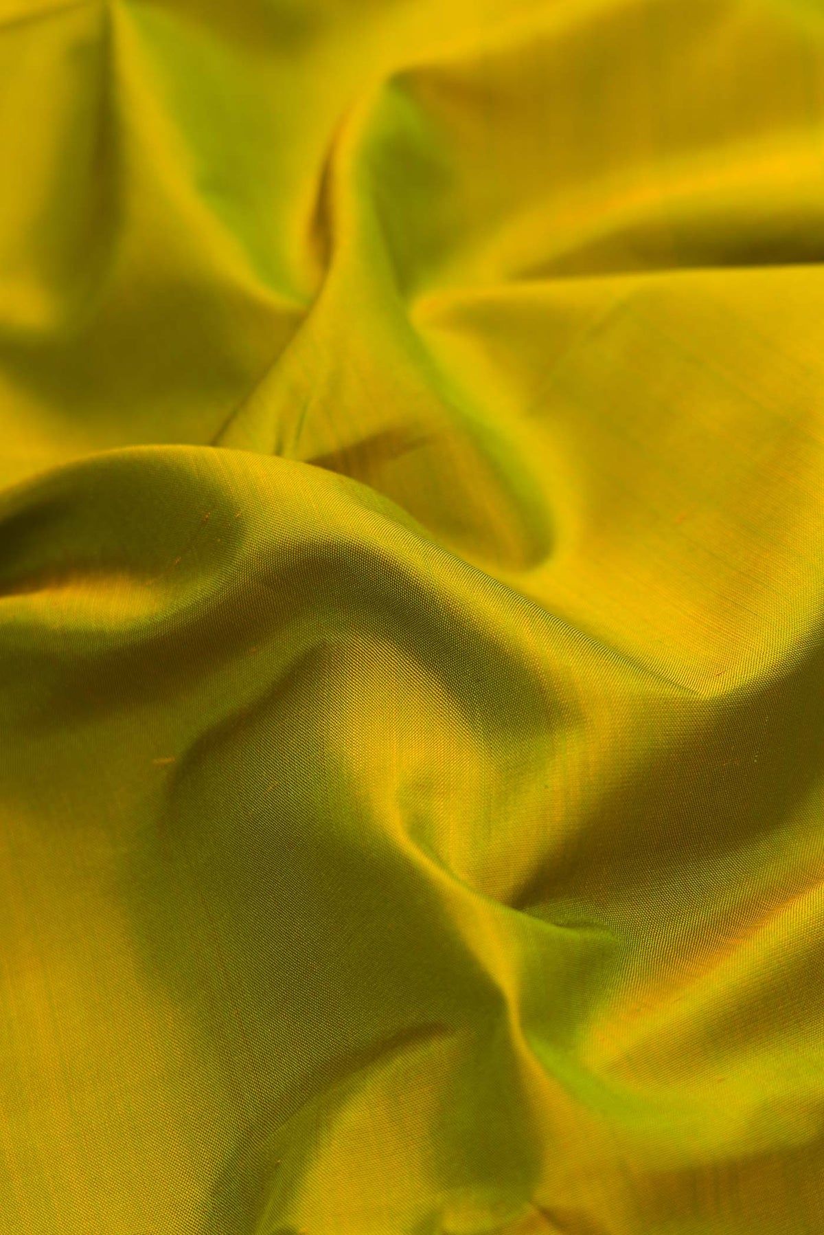 Close up of Mehandi Green Dual Tone Kanchipuram Silk Saree with Plain Body and Zari Border displaying folds