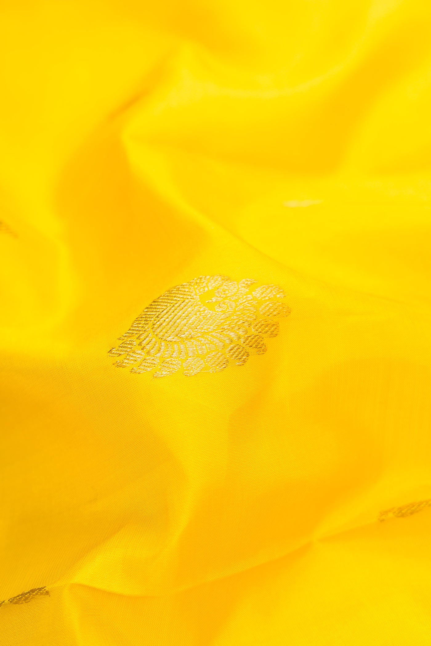 Close up of Lemon Yellow Dual Tone Kanjivaram Silk Saree with Zari Butta on the body and Zari Border.  displaying folds