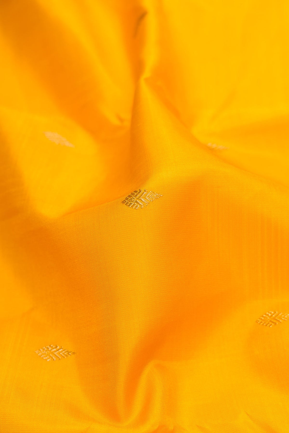 Close up of Pure Silk Pure Zari Mustard Dual Tone Kanchipuram Saree with Zari Butta on the body and Zari And Thread Border displaying folds