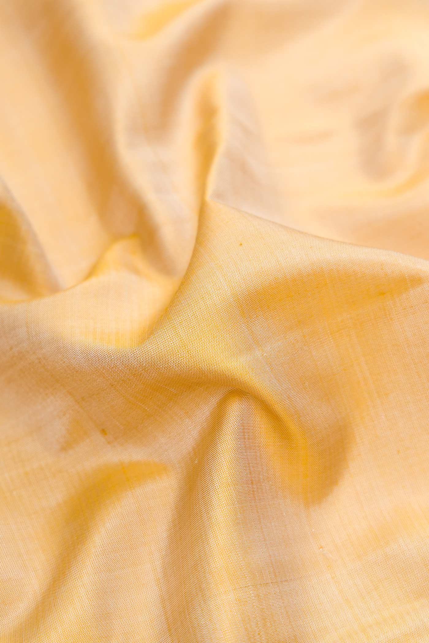 Close up of Beige Dual Tone Kanjivaram Silk Saree with Plain Body and Thread Border.  displaying folds