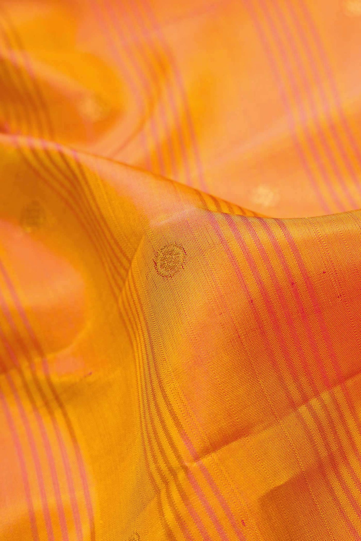 Close up of Mustard Dual Tone Kanchipuram Silk Saree with Zari Butta on the body and Zari Border.  displaying folds