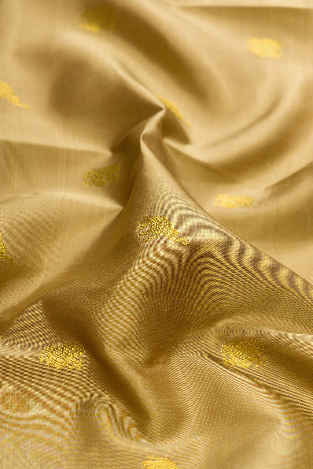 Close up of Dark Beige Dual Tone Kanjivaram Silk Saree with Zari Butta on the body and Zari Border.  displaying folds