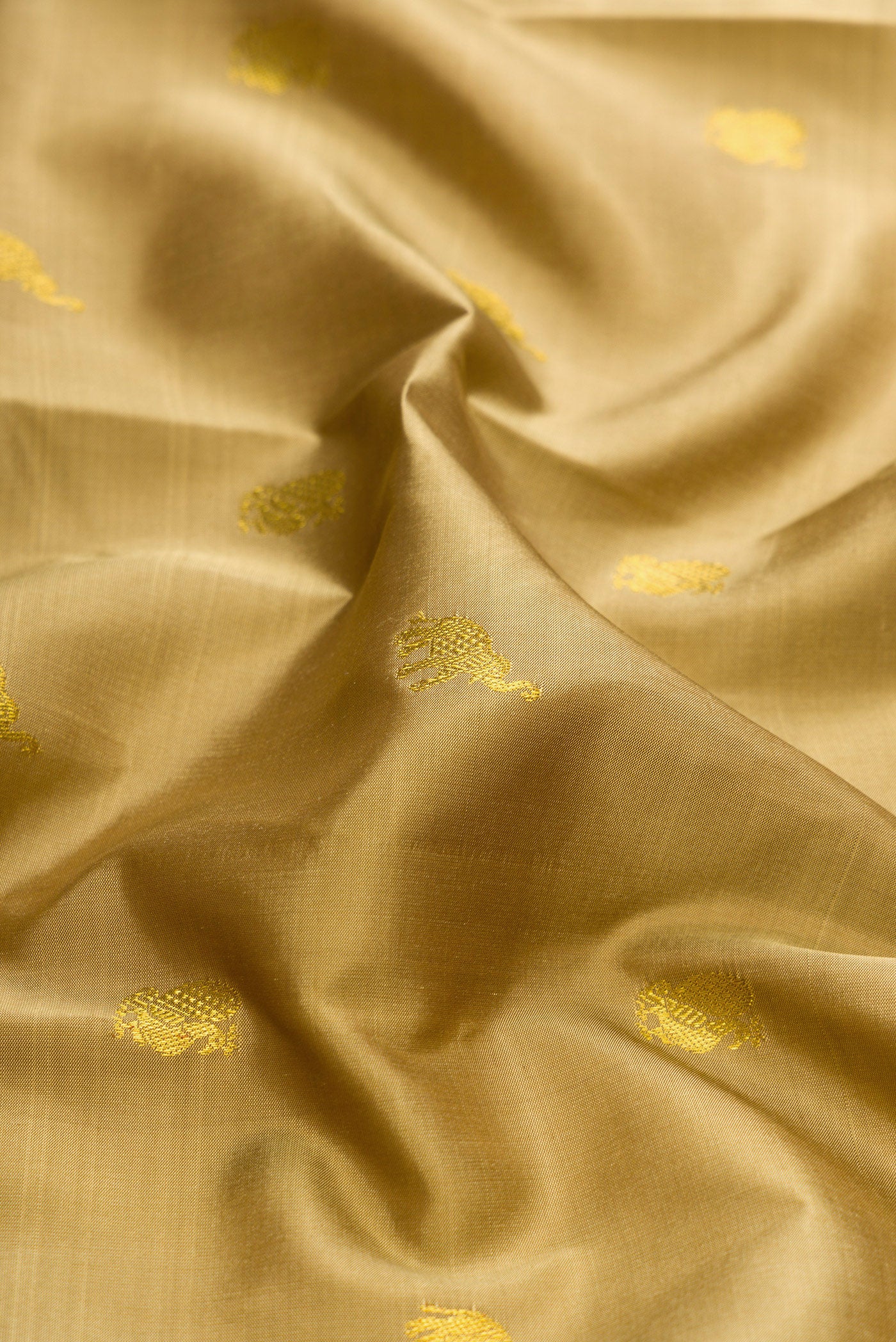 Close up of Dark Beige Dual Tone Kanjivaram Silk Saree with Zari Butta on the body and Zari Border.  displaying folds