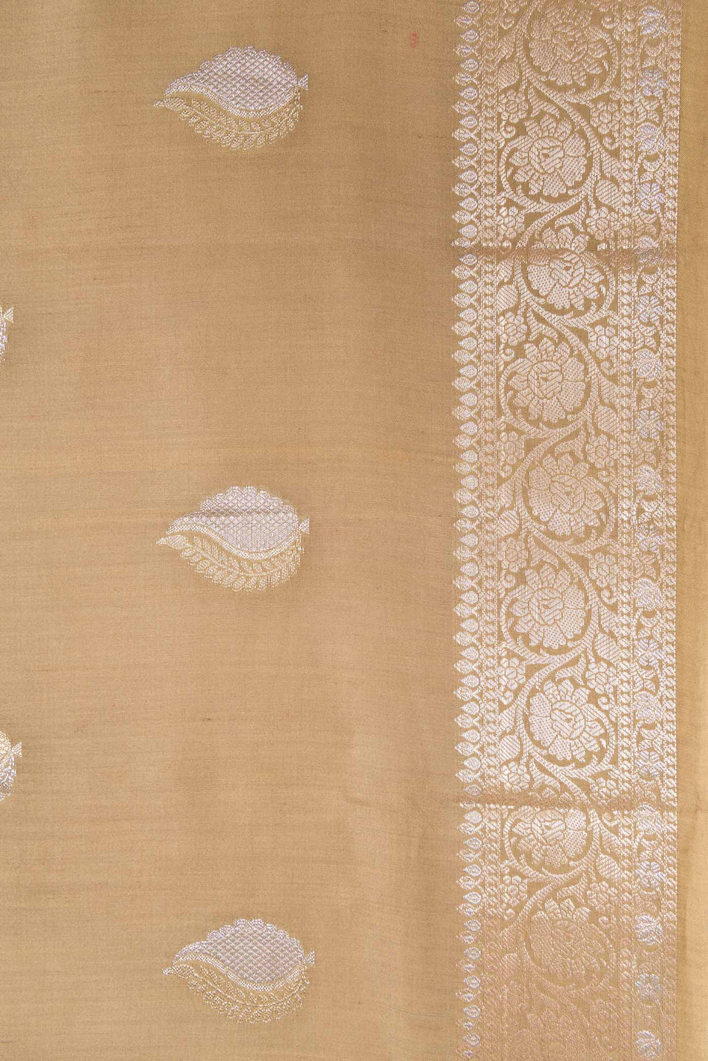 Border image of Dark Beige Dual Tone Tussar Silk Saree with Zari Brocade on the body and Zari Border. 