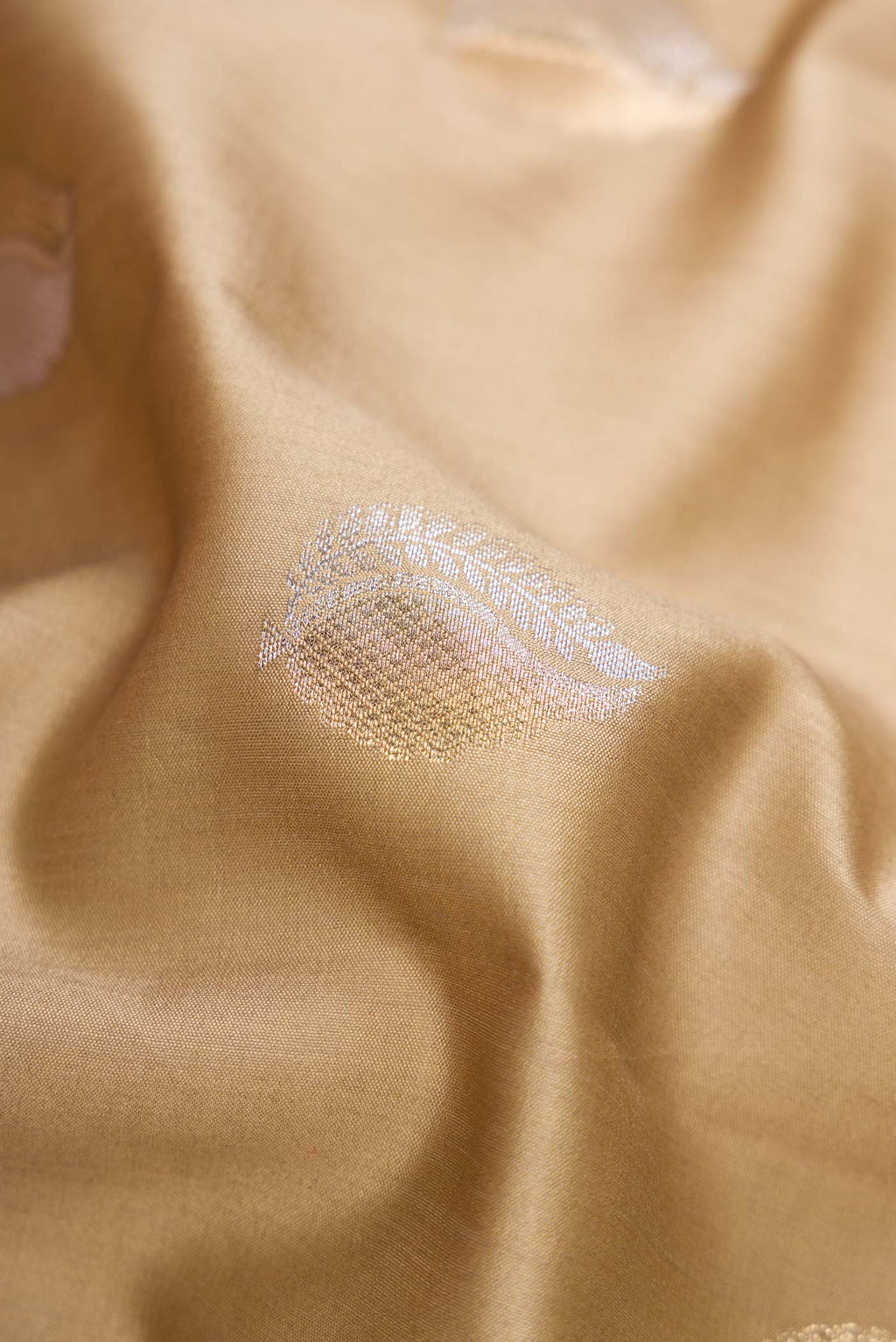 Close up of Dark Beige Dual Tone Tussar Silk Saree with Zari Brocade on the body and Zari Border.  displaying folds