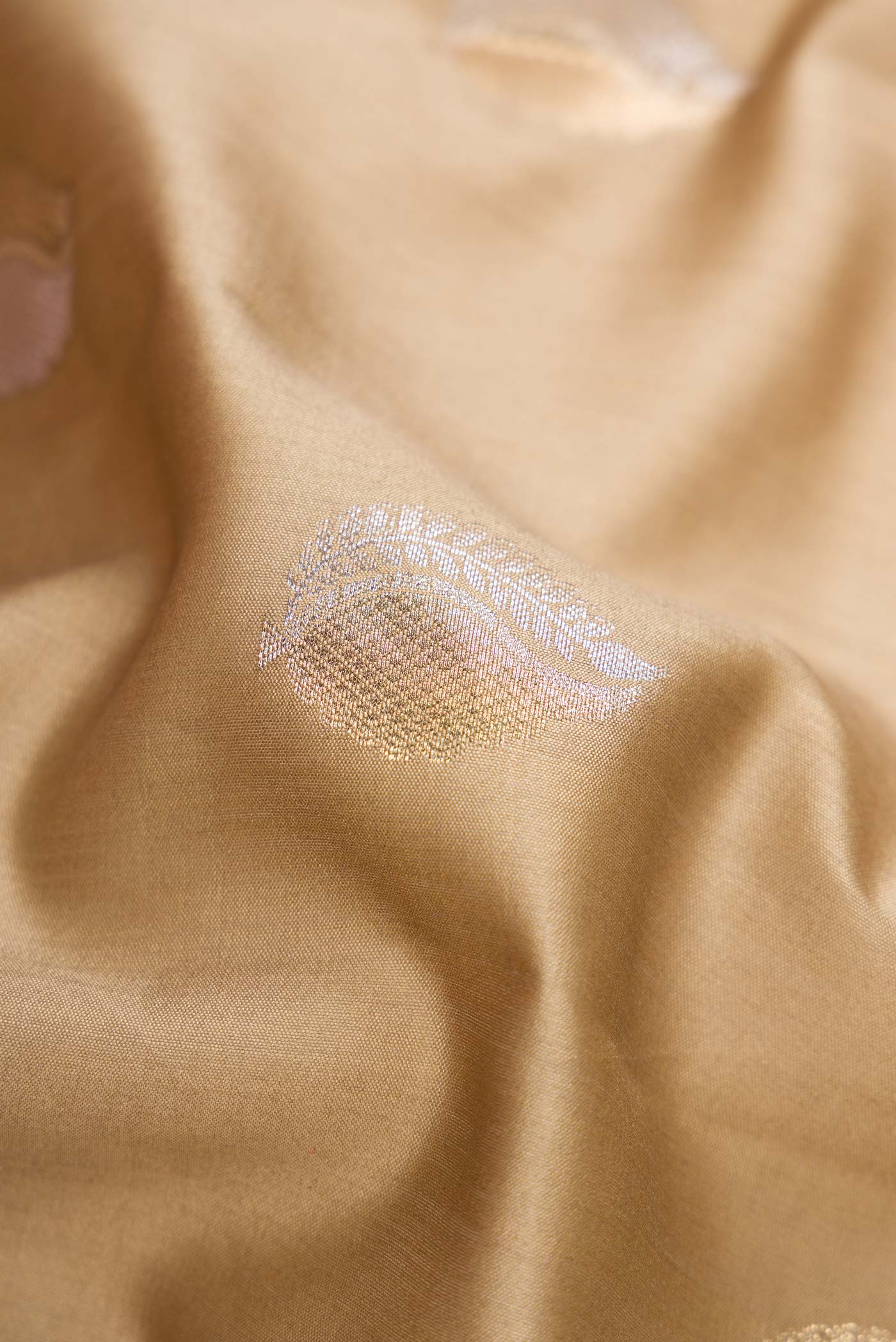 Close up of Dark Beige Dual Tone Tussar Silk Saree with Zari Brocade on the body and Zari Border.  displaying folds