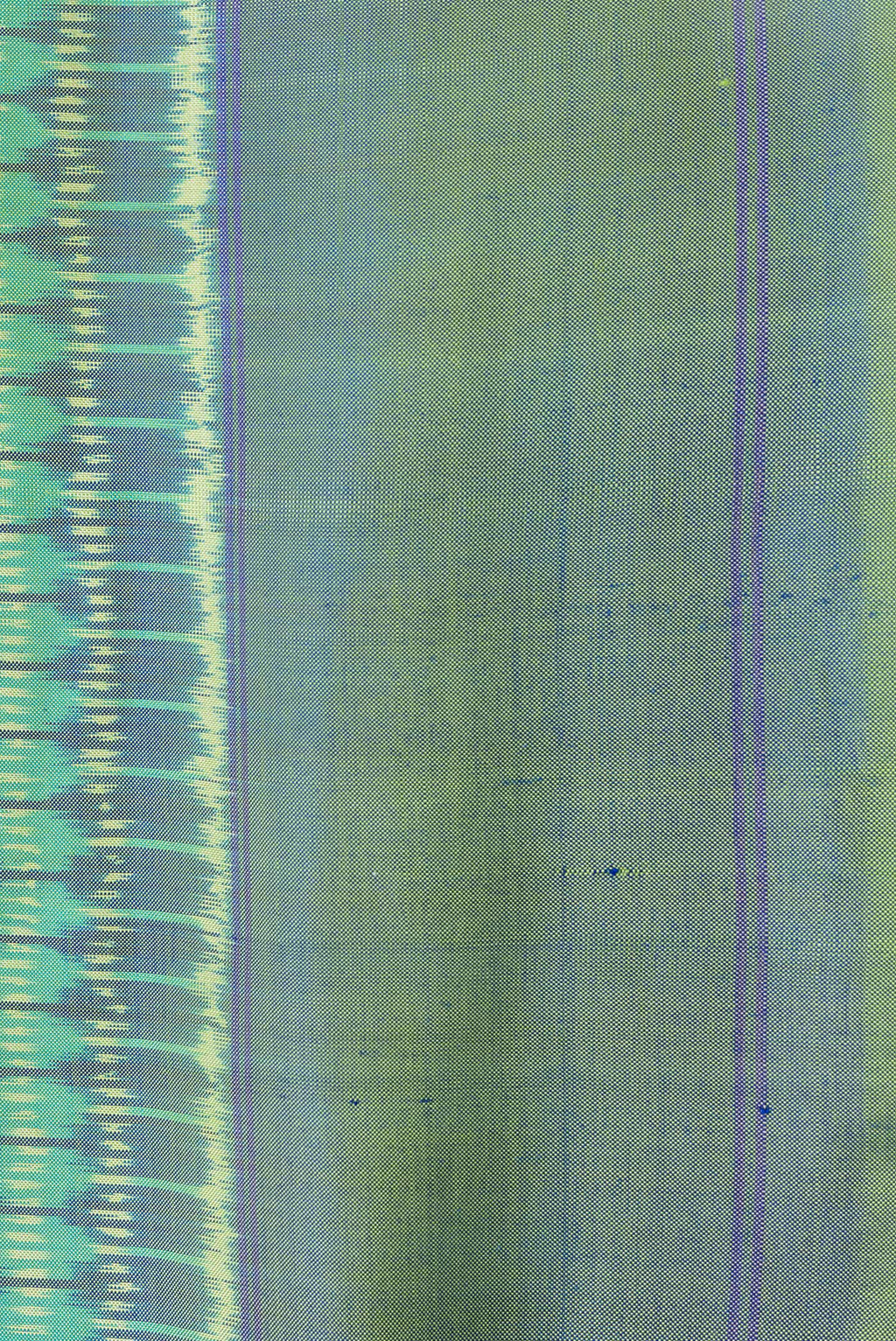 Border image of Green Dual Tone Double Ikat Saree with Ikat Print on the body and Plain Border. 