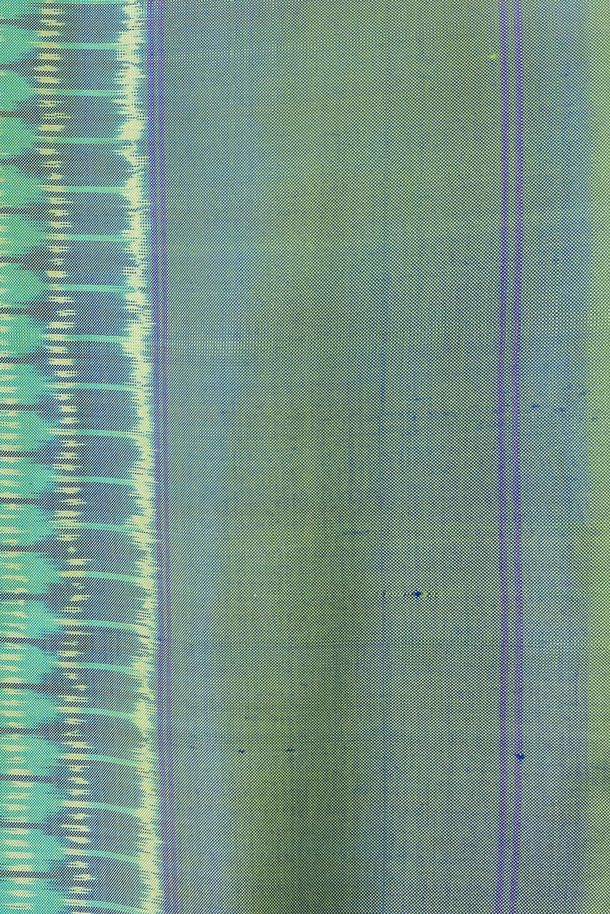 Border image of Green Dual Tone Double Ikat Saree with Ikat Print on the body and Plain Border. 