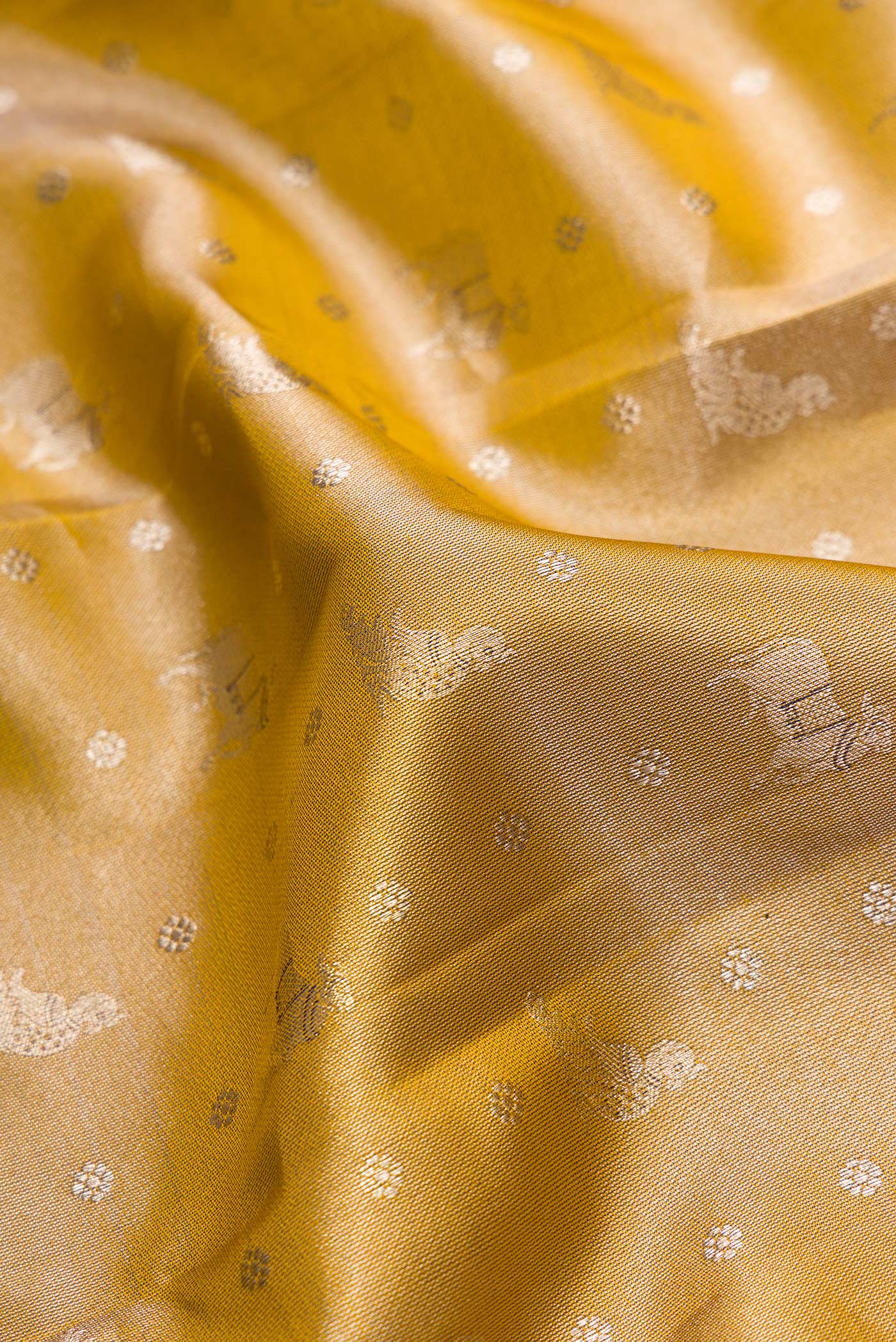 Close up of Gold Dual Tone Kanjivaram Tissue Silk Saree with Zari Brocade on the body and Fancy Border.  displaying folds