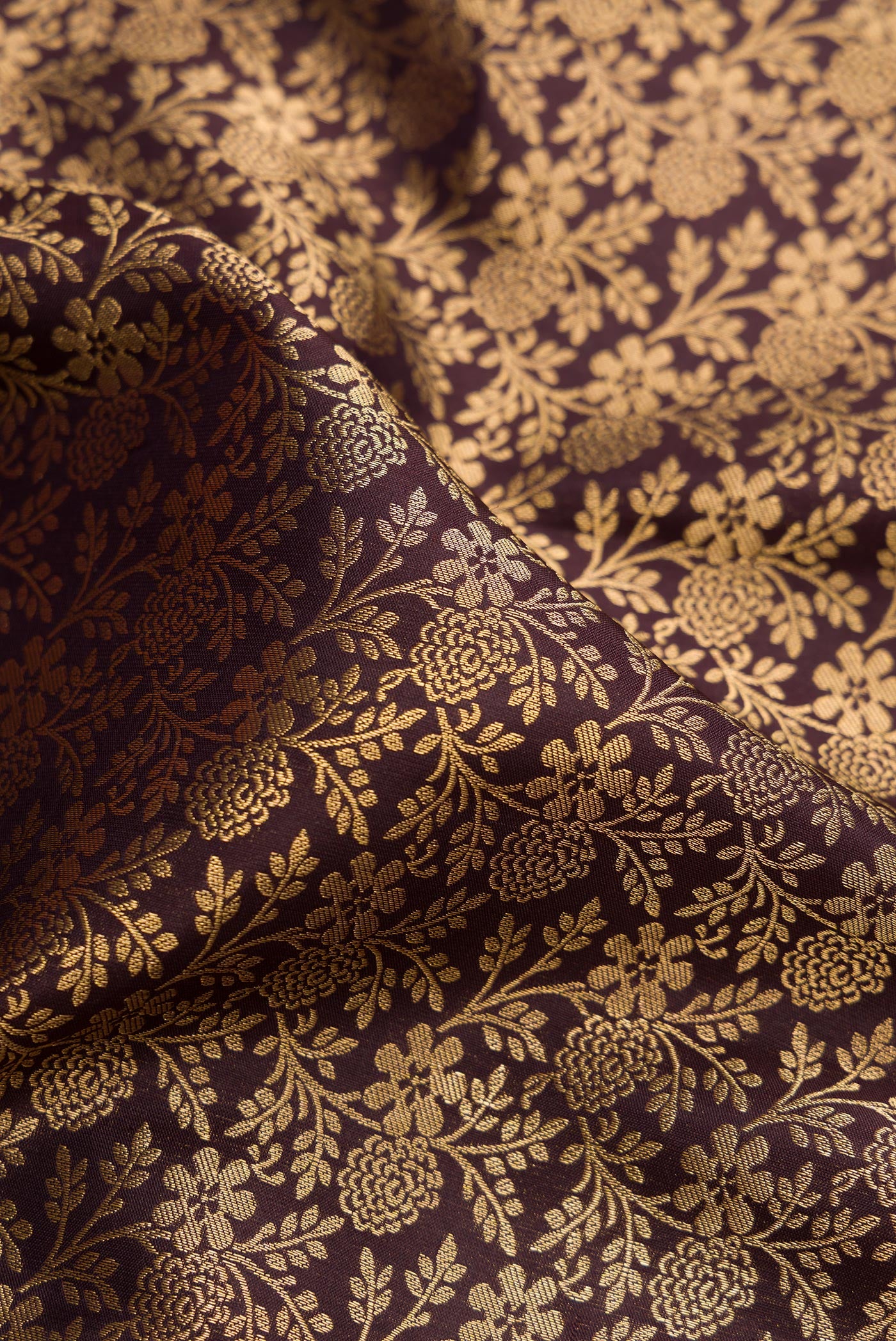 Close up of Coffee Brown Kanjivaram Silk Saree with Zari Brocade on the body and Zari Border.  displaying folds