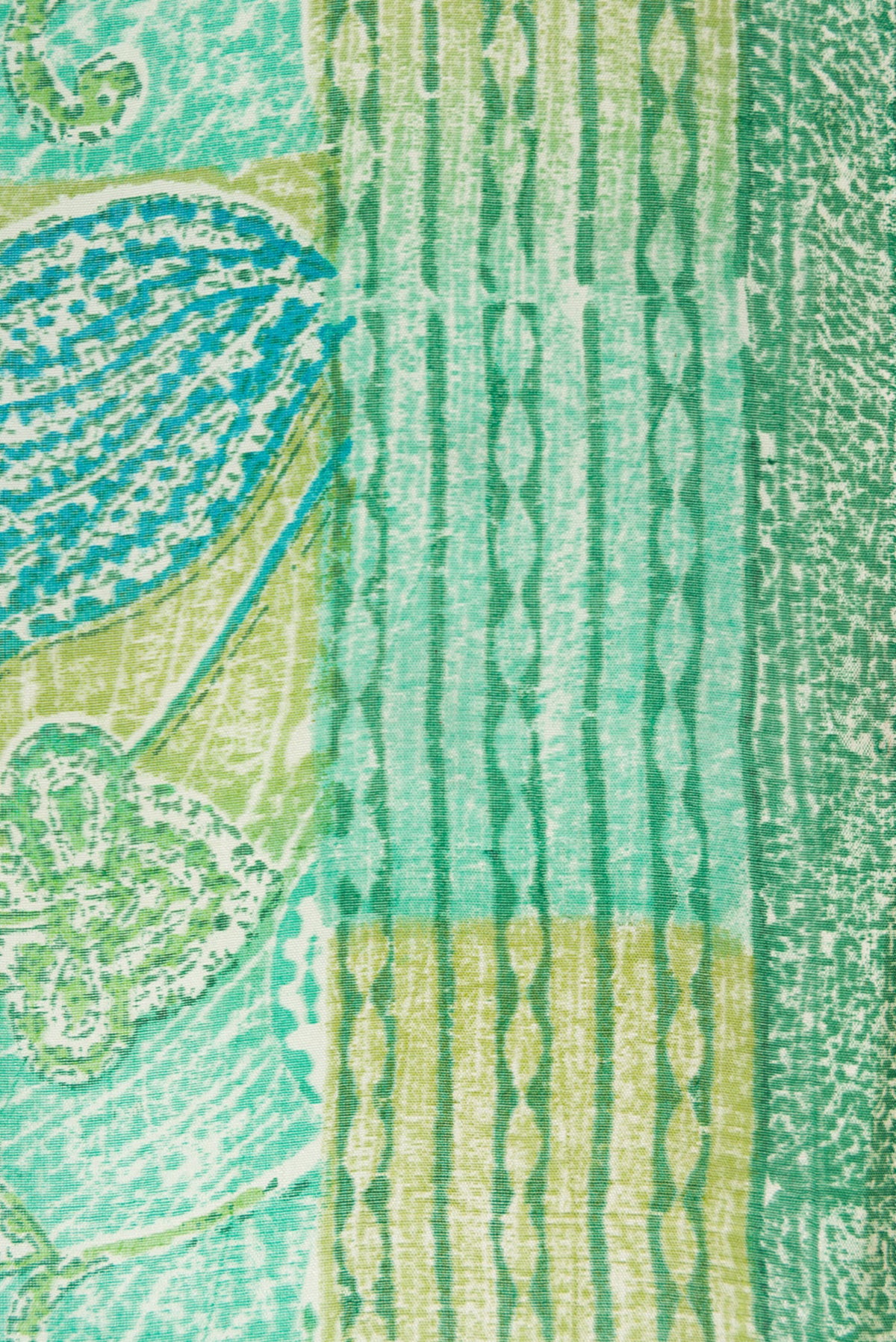 Border image of Pista Green Dual Tone Tussar Silk Saree with Printed design on the body and Printed Border. 