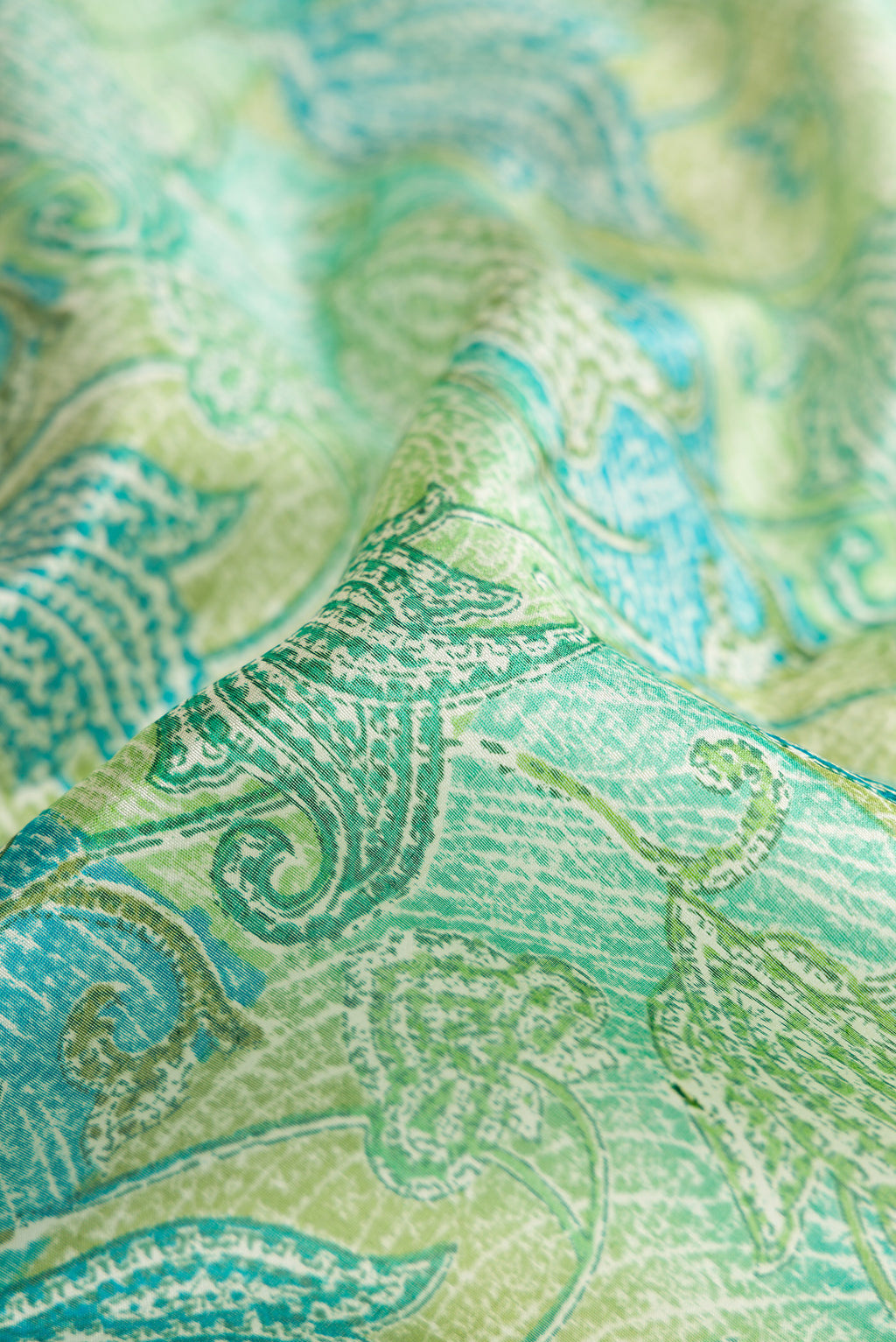 Close up of Pista Green Dual Tone Tussar Silk Saree with Printed design on the body and Printed Border.  displaying folds