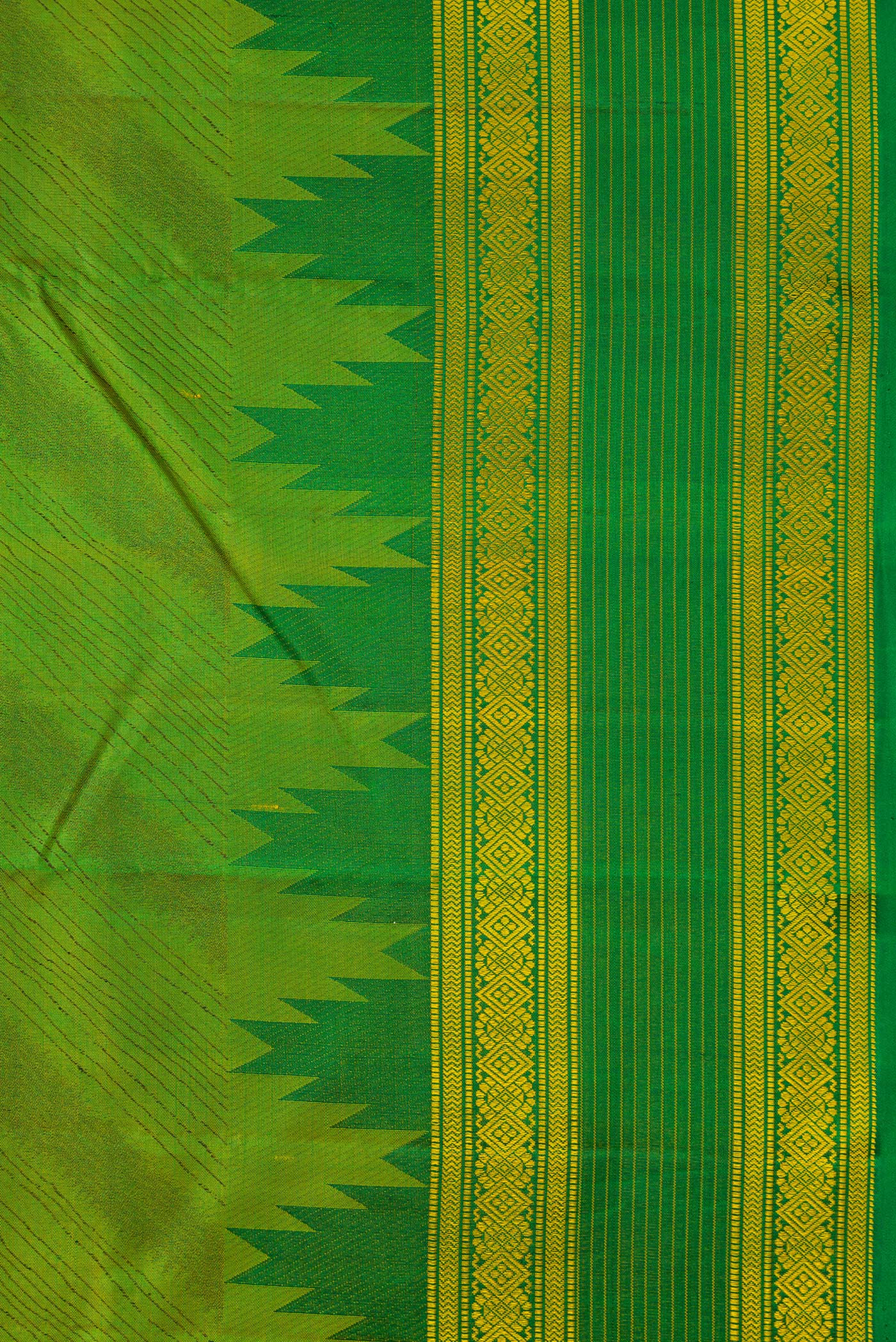 Border image of Pista Green Dual Tone Kanchipuram Silk Saree with Jacquard design on the body and Temple Border. 