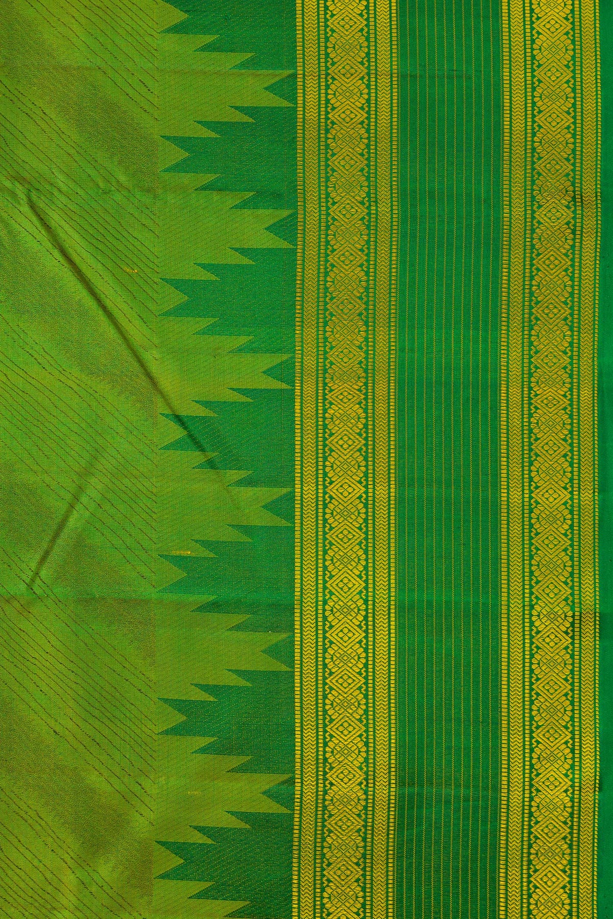 Border image of Pista Green Dual Tone Kanchipuram Silk Saree with Jacquard design on the body and Temple Border. 