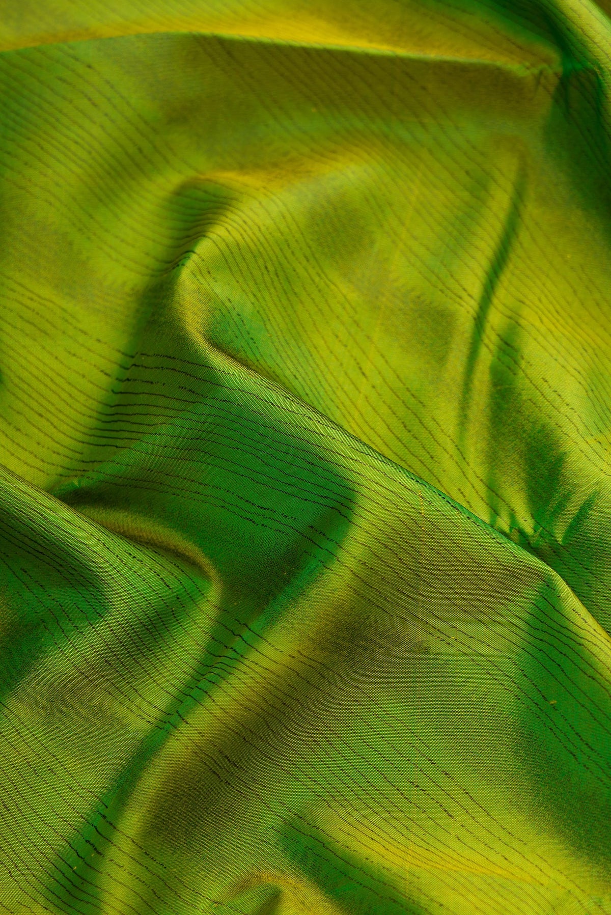 Close up of Pista Green Dual Tone Kanchipuram Silk Saree with Jacquard design on the body and Temple Border.  displaying folds