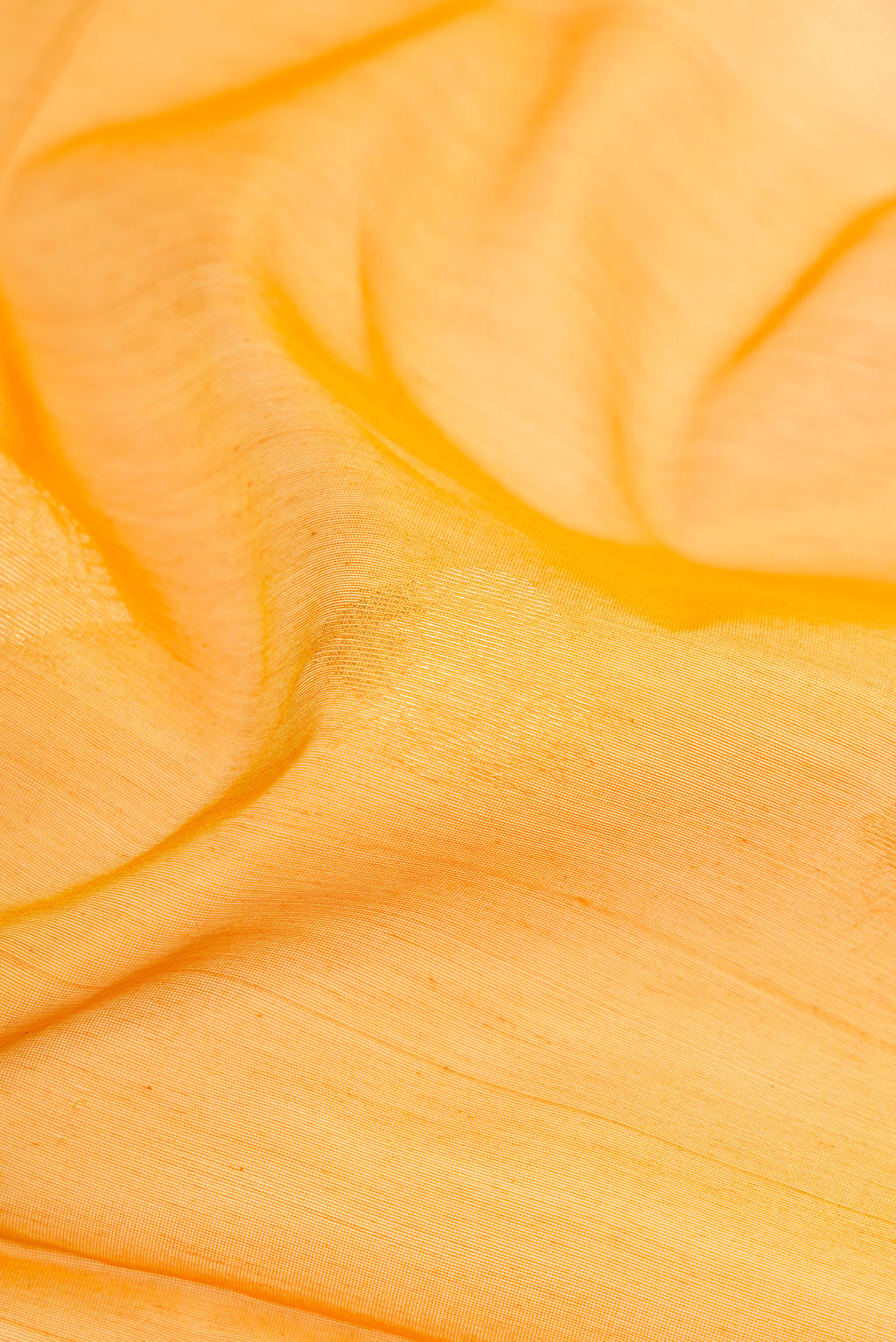 Close up of Mustard Silk Cotton Saree with Zari Butta on the body and Zari Border.  displaying folds
