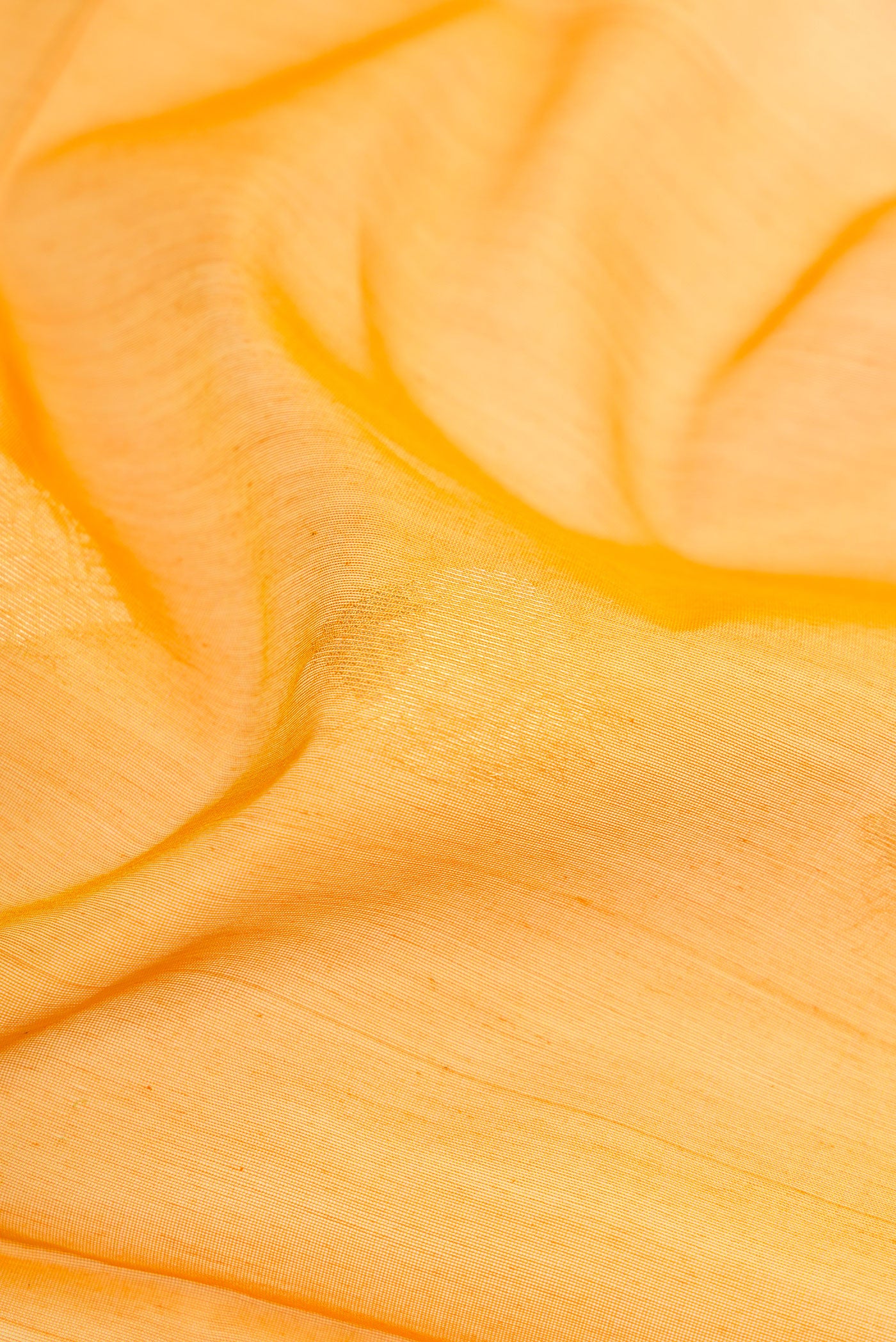 Close up of Mustard Silk Cotton Saree with Zari Butta on the body and Zari Border.  displaying folds