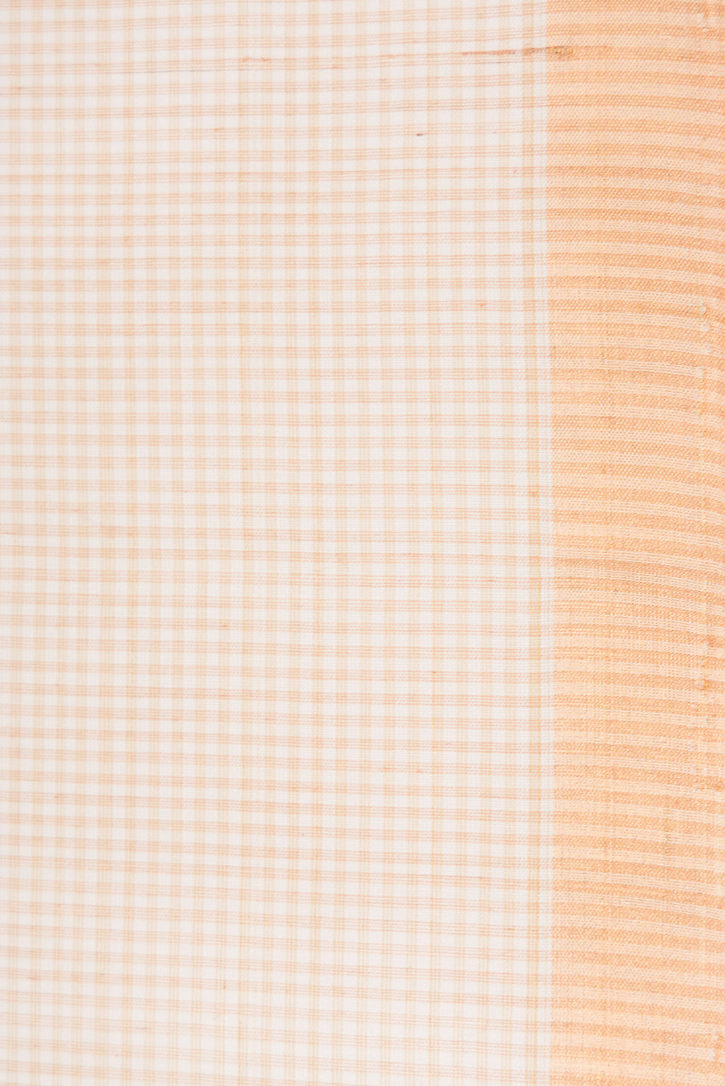 Border image of Beige Dual Tone Maheshwari Silk Saree with Checked design on the body and Zari Border. 