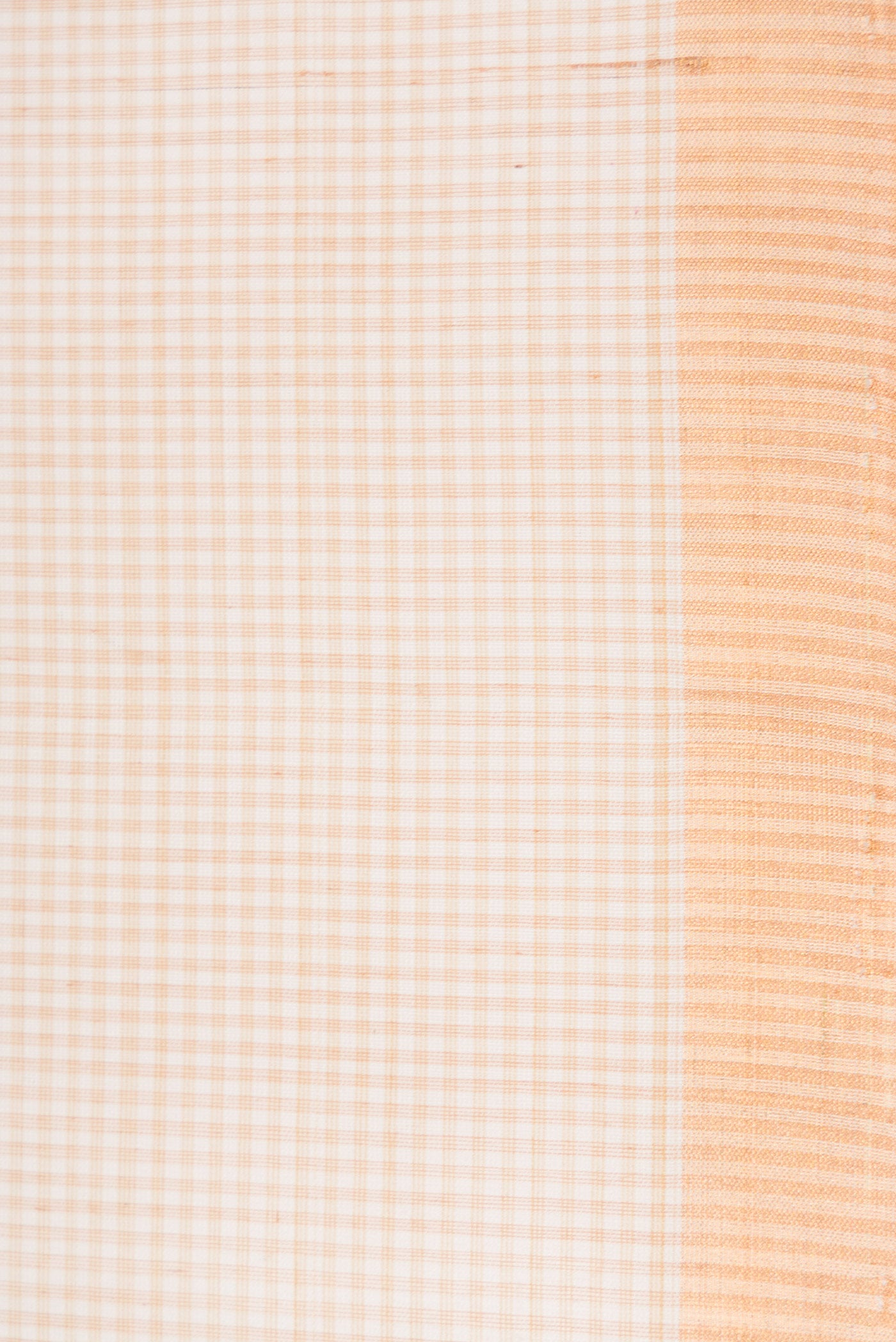 Border image of Beige Dual Tone Maheshwari Silk Saree with Checked design on the body and Zari Border. 