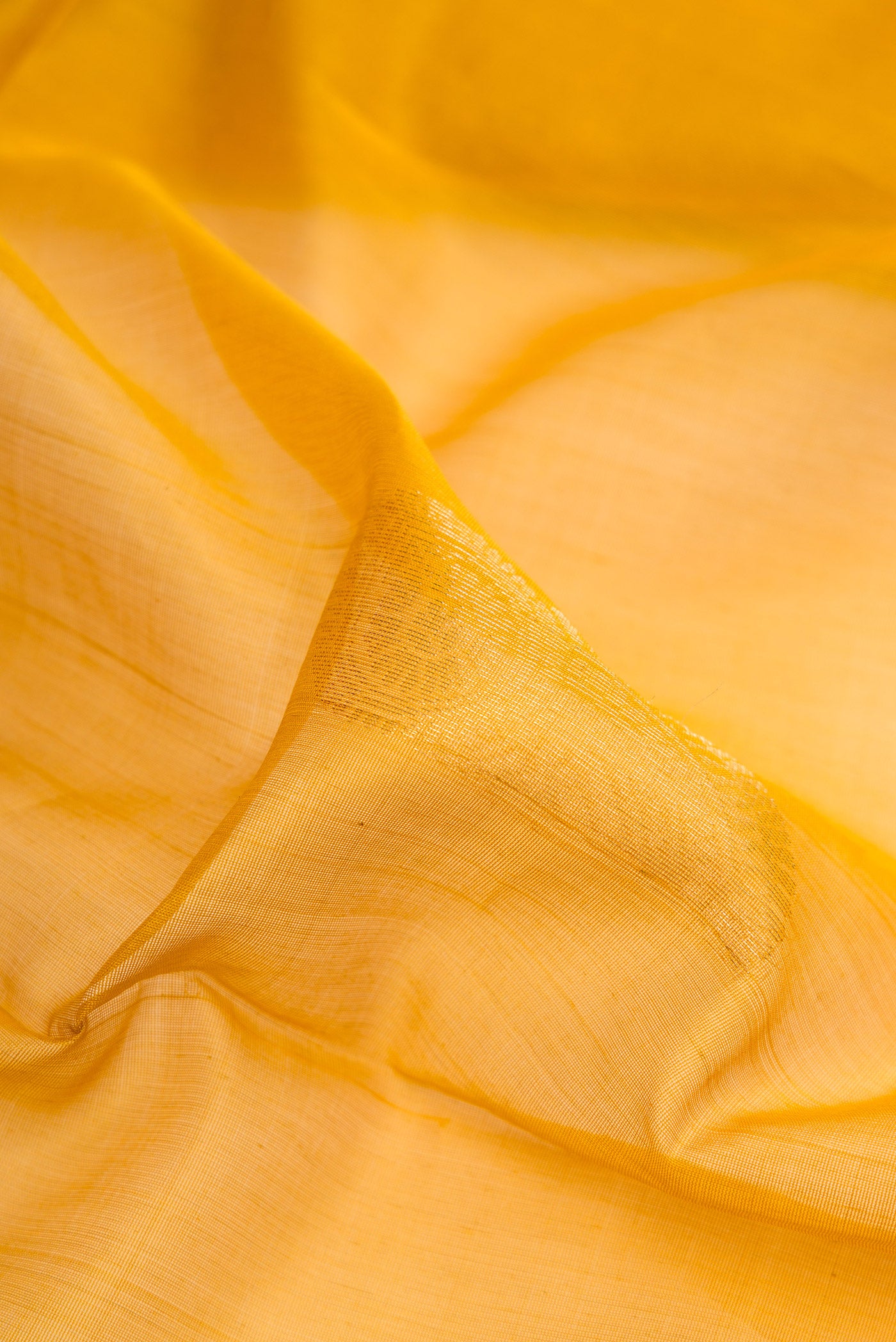 Close up of Mustard Silk Cotton Saree with Zari Butta on the body and Zari Border.  displaying folds