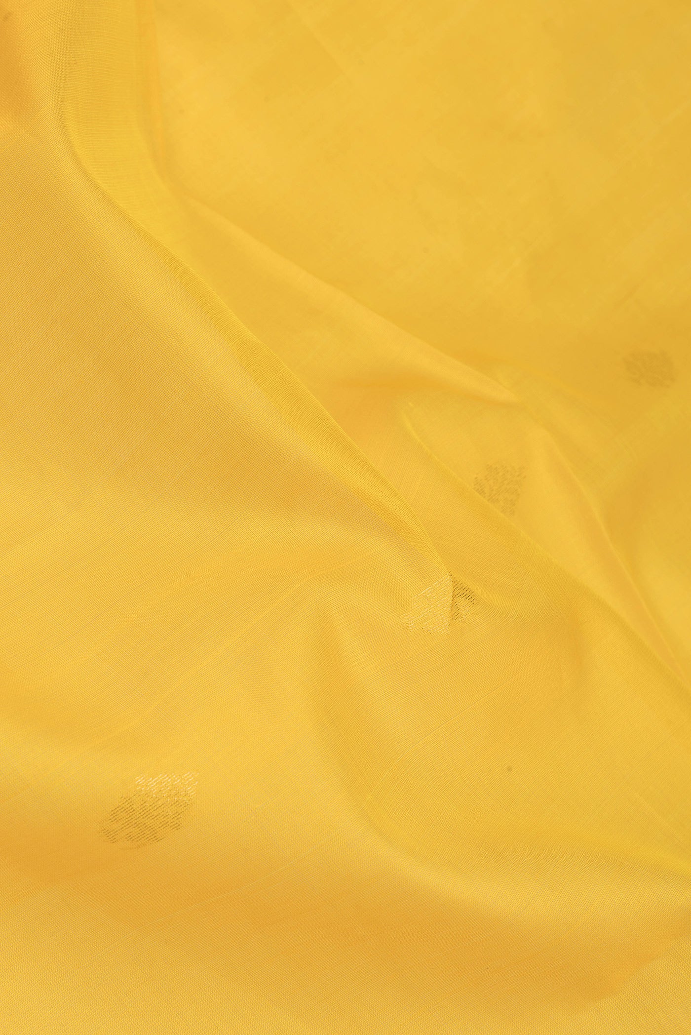 Close up of Yellow Silk Cotton Saree with Zari Butta on the body and Zari Border.  displaying folds