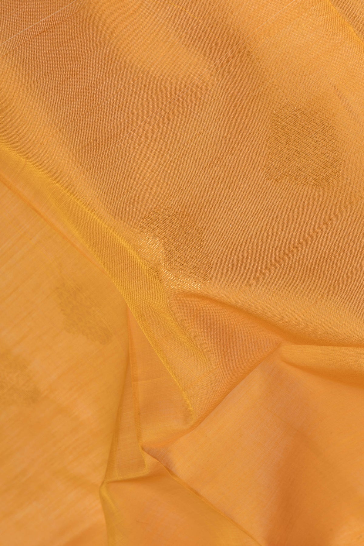 Close up of Mustard Silk Cotton Saree with Zari Butta on the body and Zari Border.  displaying folds
