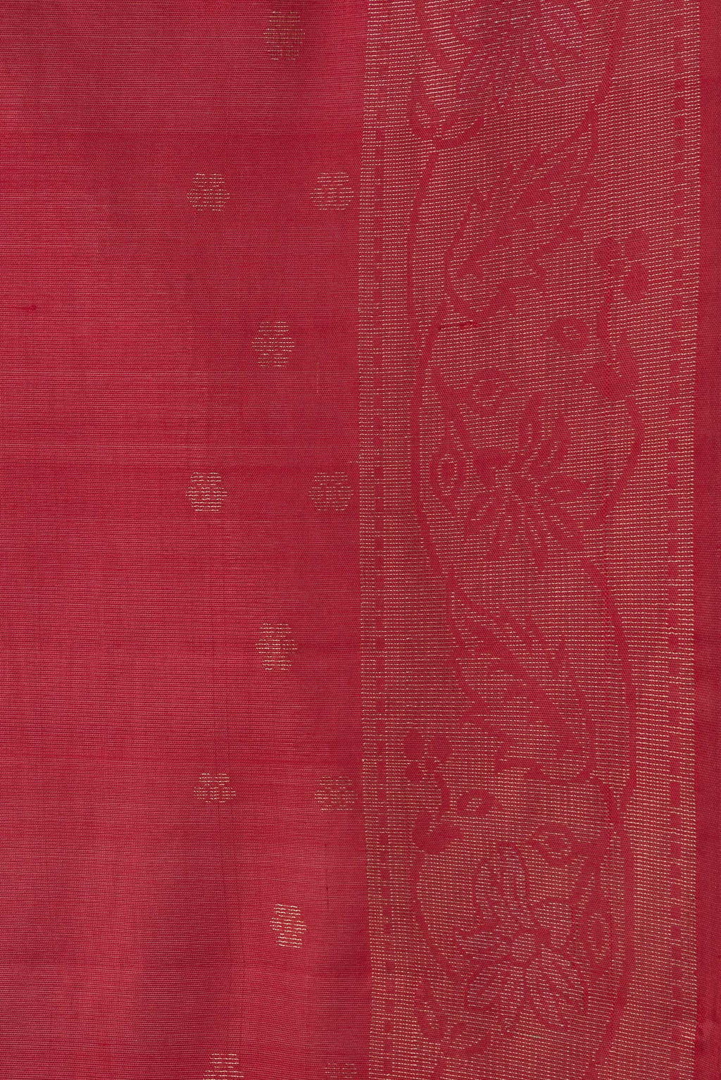 Border image of Red Dual Tone Silk Cotton Saree with Zari Butta on the body and Zari Border. 