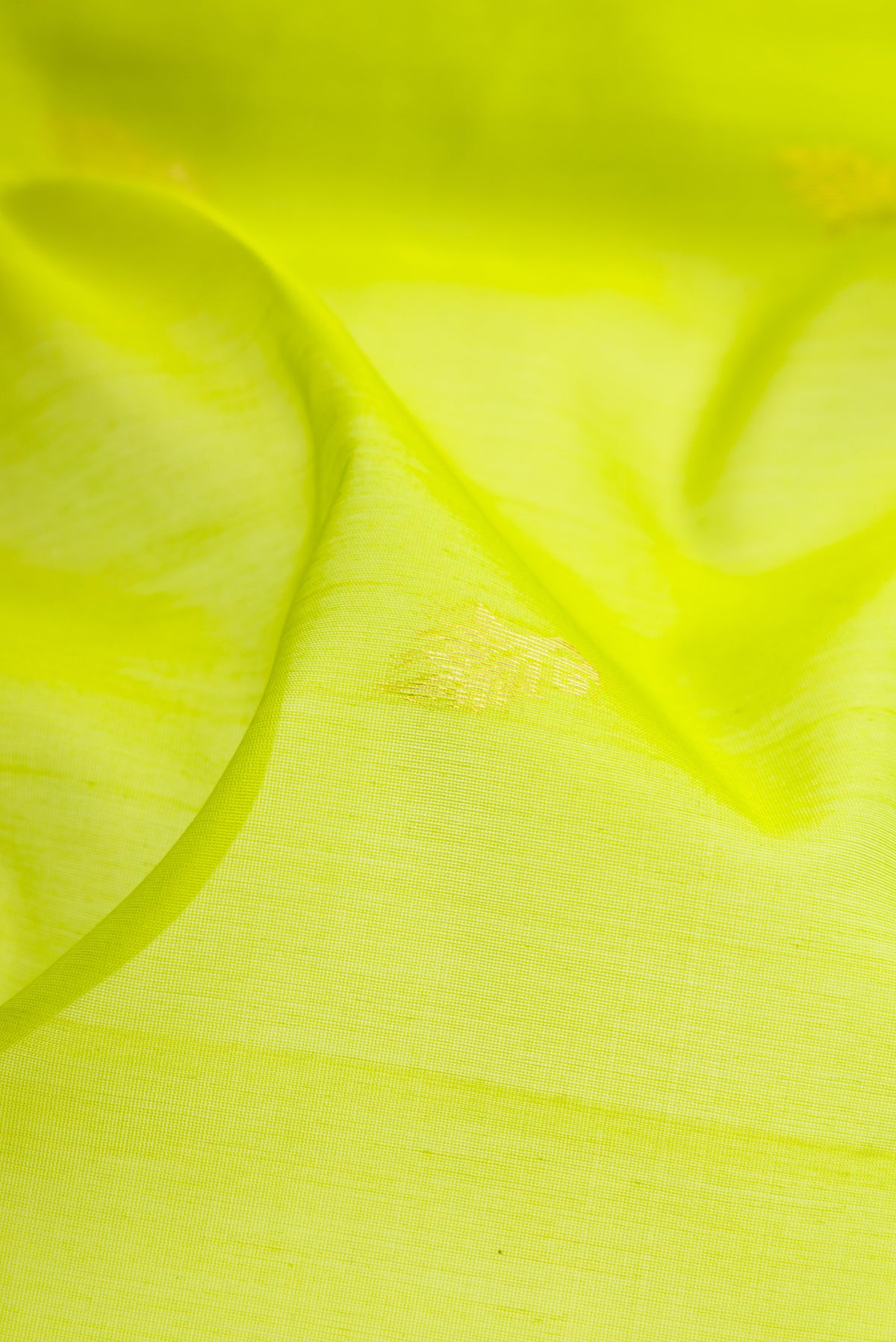 Close up of Parrot Green Silk Cotton Saree with Zari Butta on the body and Fancy Border.  displaying folds