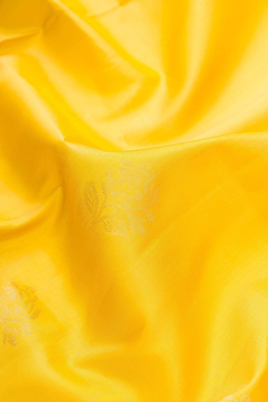 Close up of Mustard Dual Tone Soft Silk Saree with Zari Butta on the body and Zari Border.  displaying folds