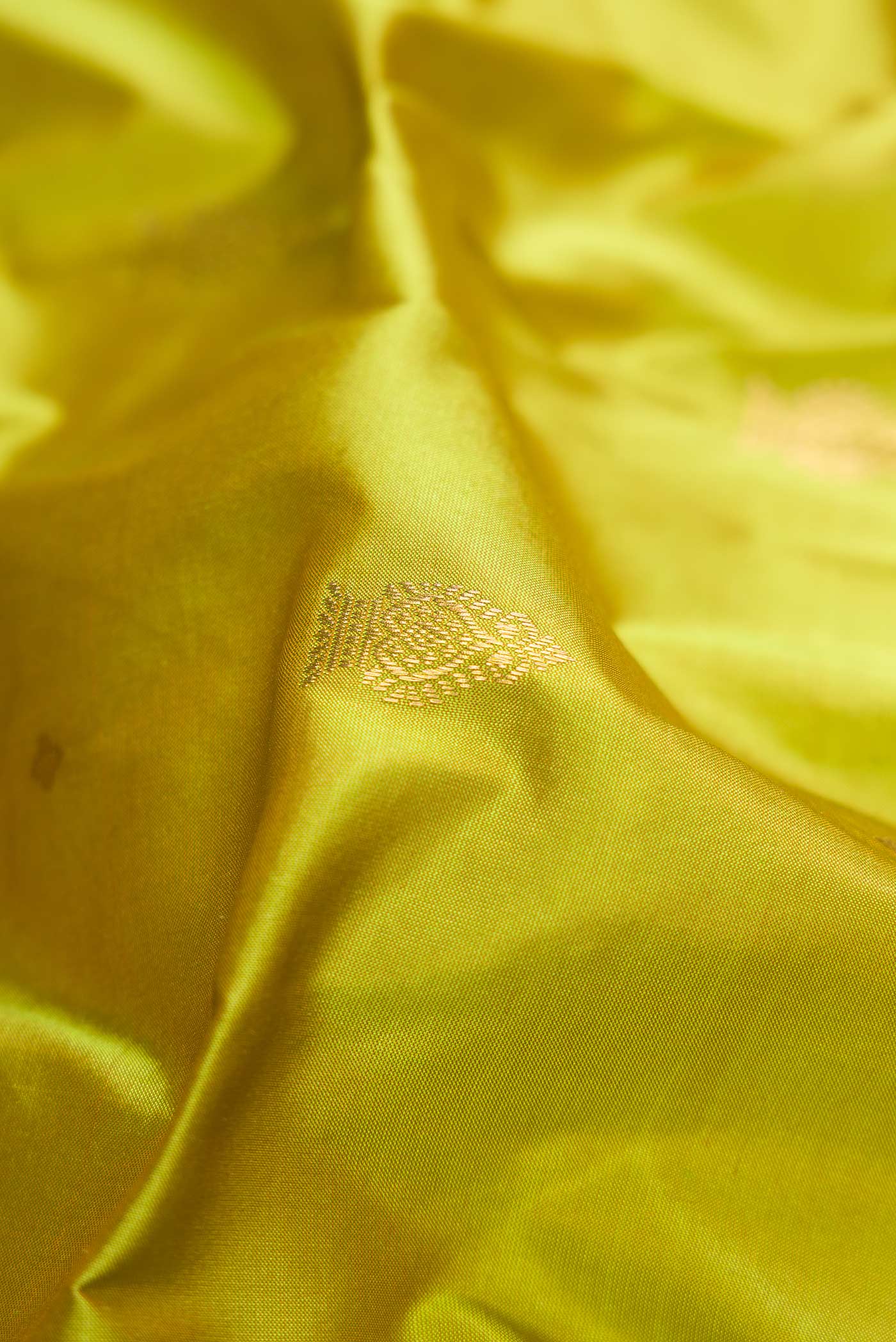 Close up of Parrot Green Dual Tone Kanchipuram Silk Saree with Zari Butta on the body and Temple Border.  displaying folds