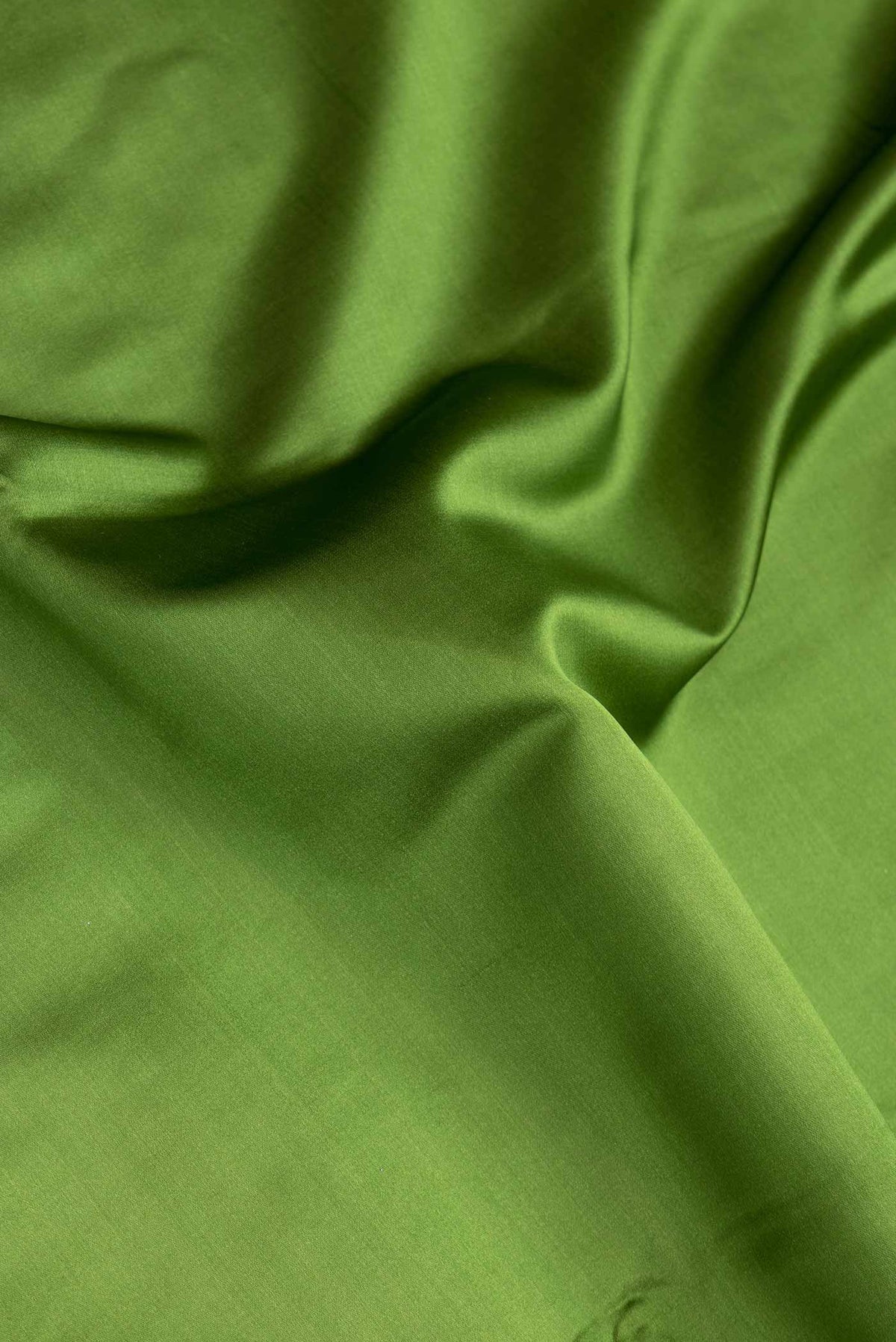 Close up of Green Dual Tone Blended Banarasi Silk Saree with Plain Body and Zari Border.  displaying folds
