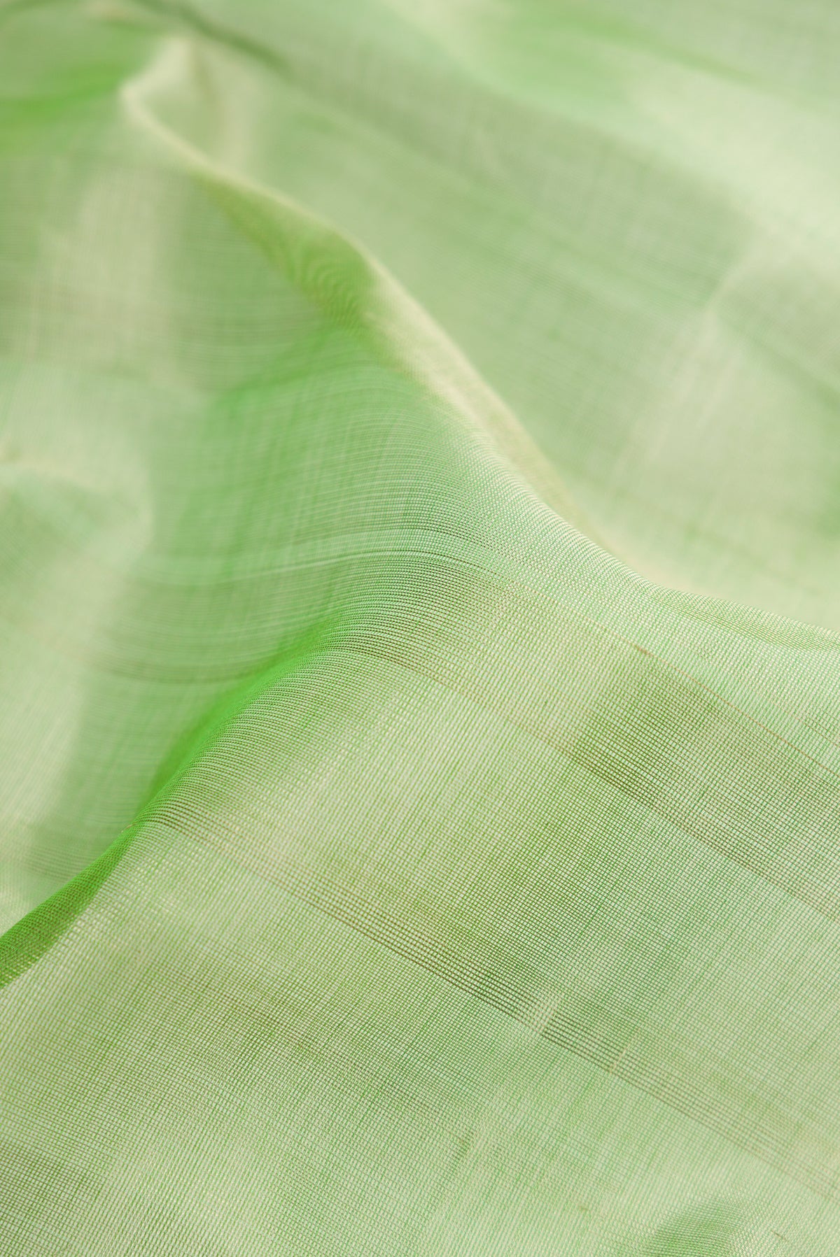 Close up of Light Green Silk Cotton Saree with Plain Body and Zari Border.  displaying folds