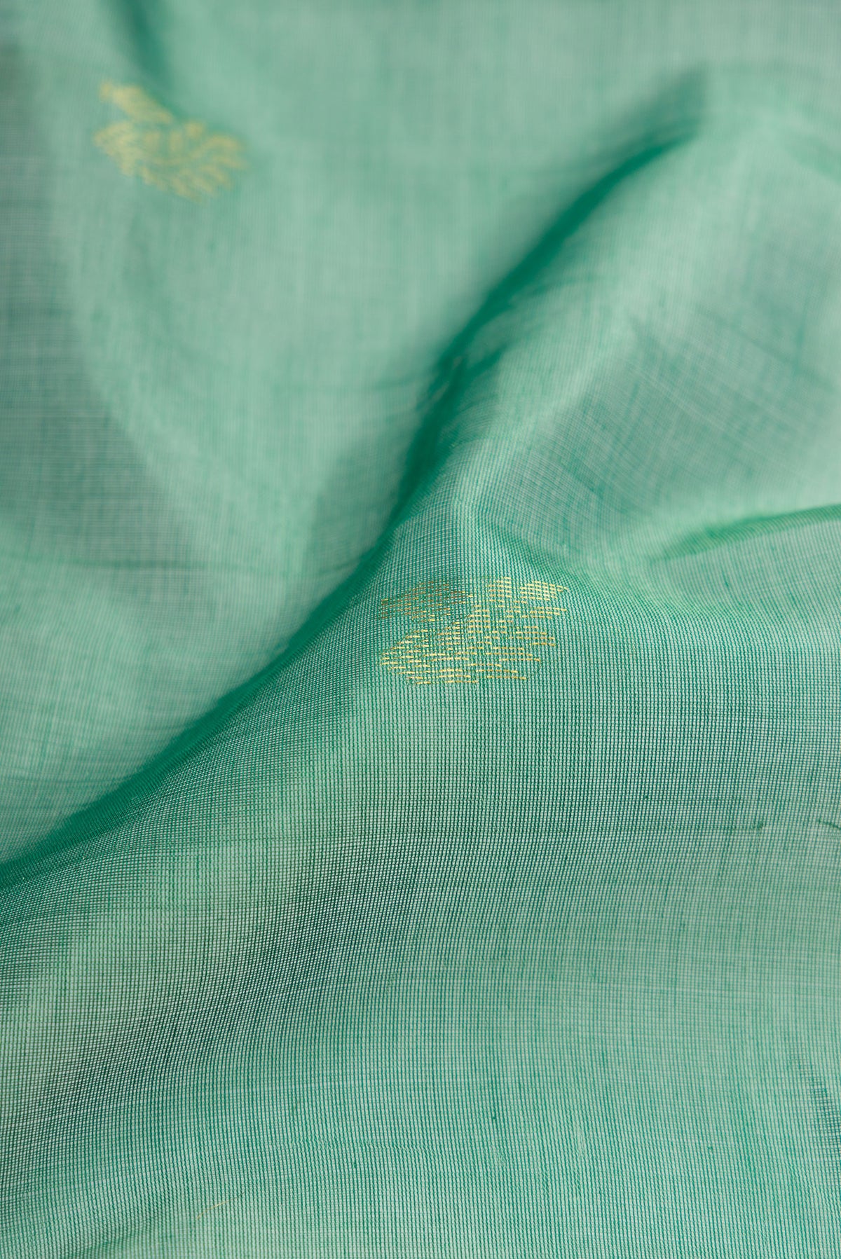Close up of Green Silk Cotton Saree with Zari Butta on the body and Zari Border.  displaying folds