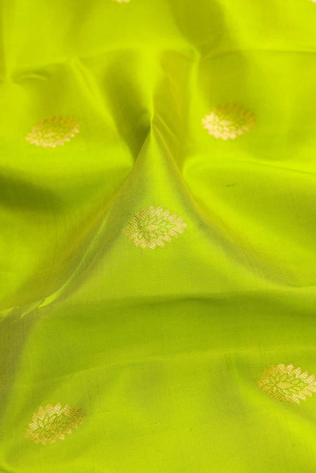 Close up of Parrot Green Dual Tone Kanjivaram Silk Saree with Zari Butta on the body and Zari Border.  displaying folds
