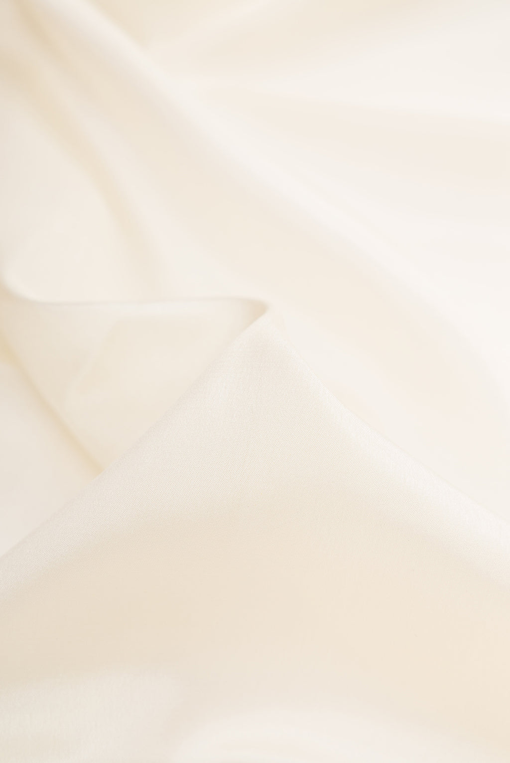 Close up of Off White Dual Tone Mysore Silk Saree with Plain Body and Zari Border.  displaying folds