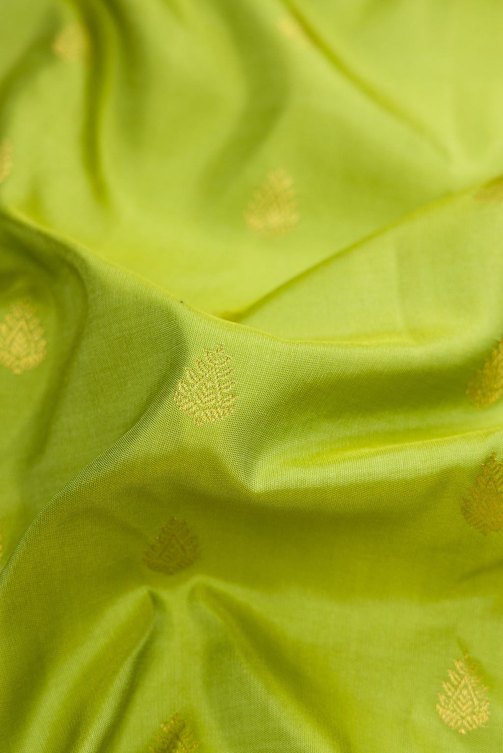 Close up of Parrot Green Dual Tone Gadwal Silk Saree with Zari Butta on the body and Zari Border.  displaying folds