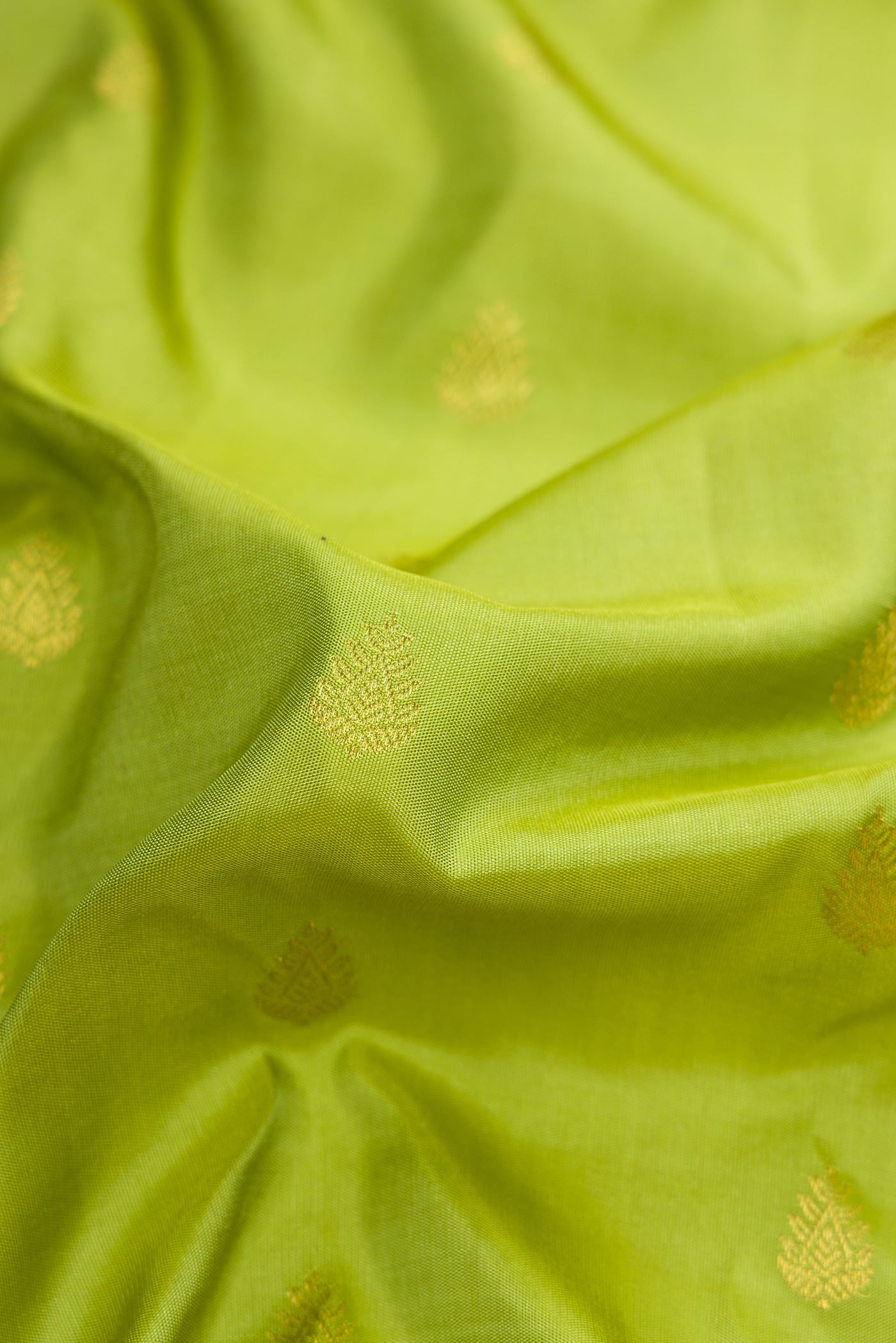 Close up of Parrot Green Dual Tone Gadwal Silk Saree with Zari Butta on the body and Zari Border.  displaying folds