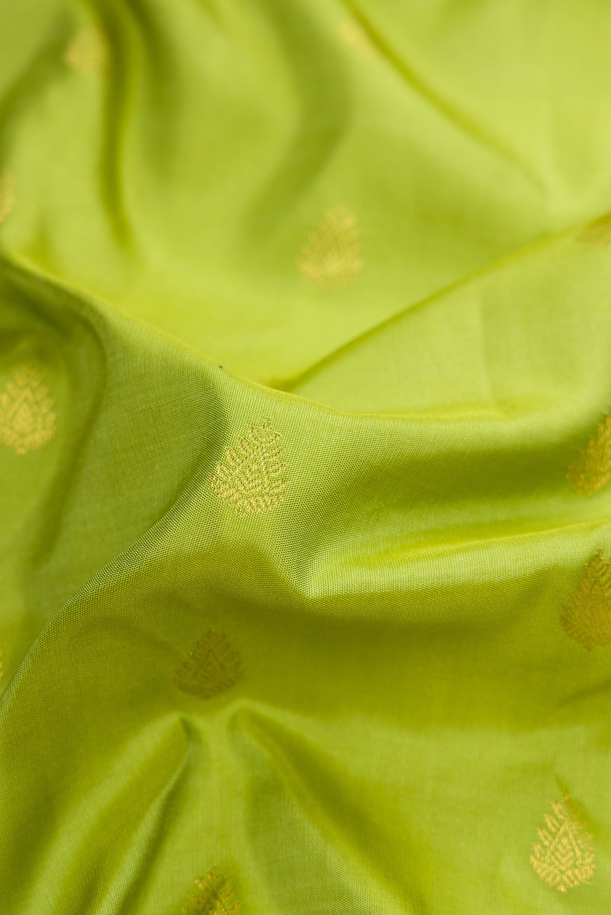 Close up of Parrot Green Dual Tone Gadwal Silk Saree with Zari Butta on the body and Zari Border.  displaying folds