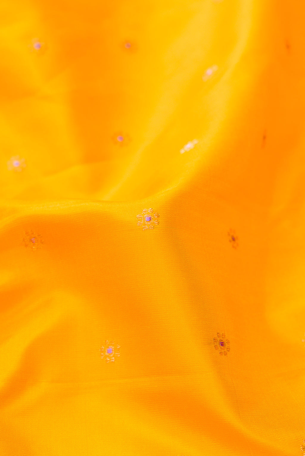 Close up of Mustard Dual Tone Gadwal Silk Saree with Zari Butta on the body and Zari Border.  displaying folds