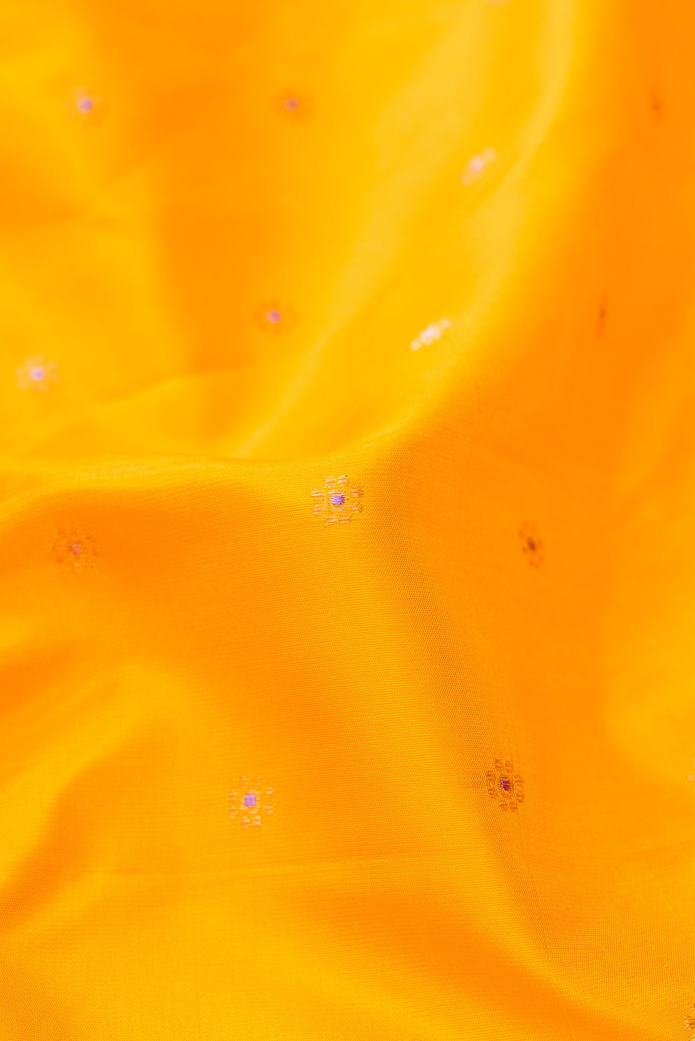 Close up of Mustard Dual Tone Gadwal Silk Saree with Zari Butta on the body and Zari Border.  displaying folds