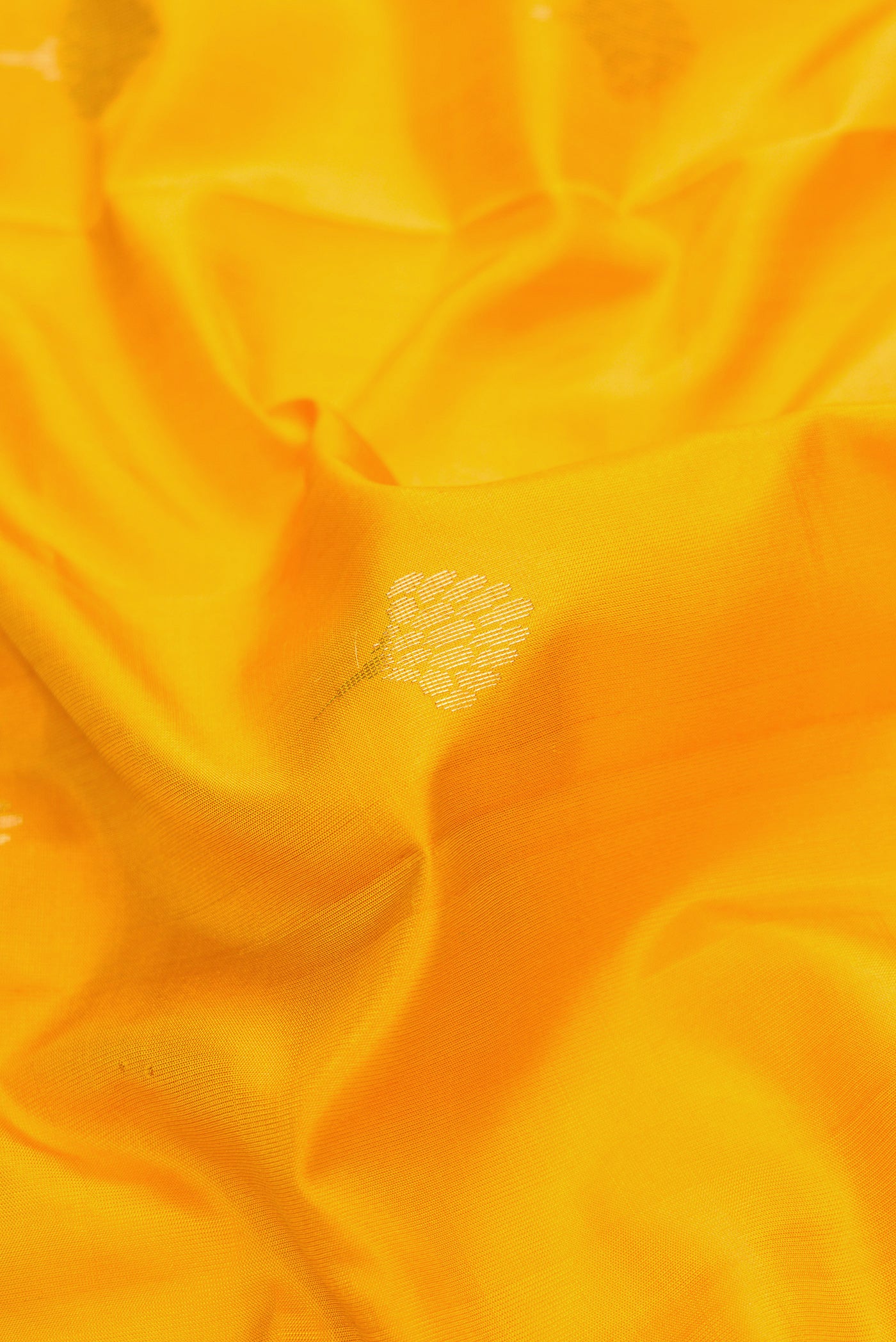 Close up of Yellow Dual Tone Soft Silk Saree with Zari Butta on the body and Zari Border.  displaying folds