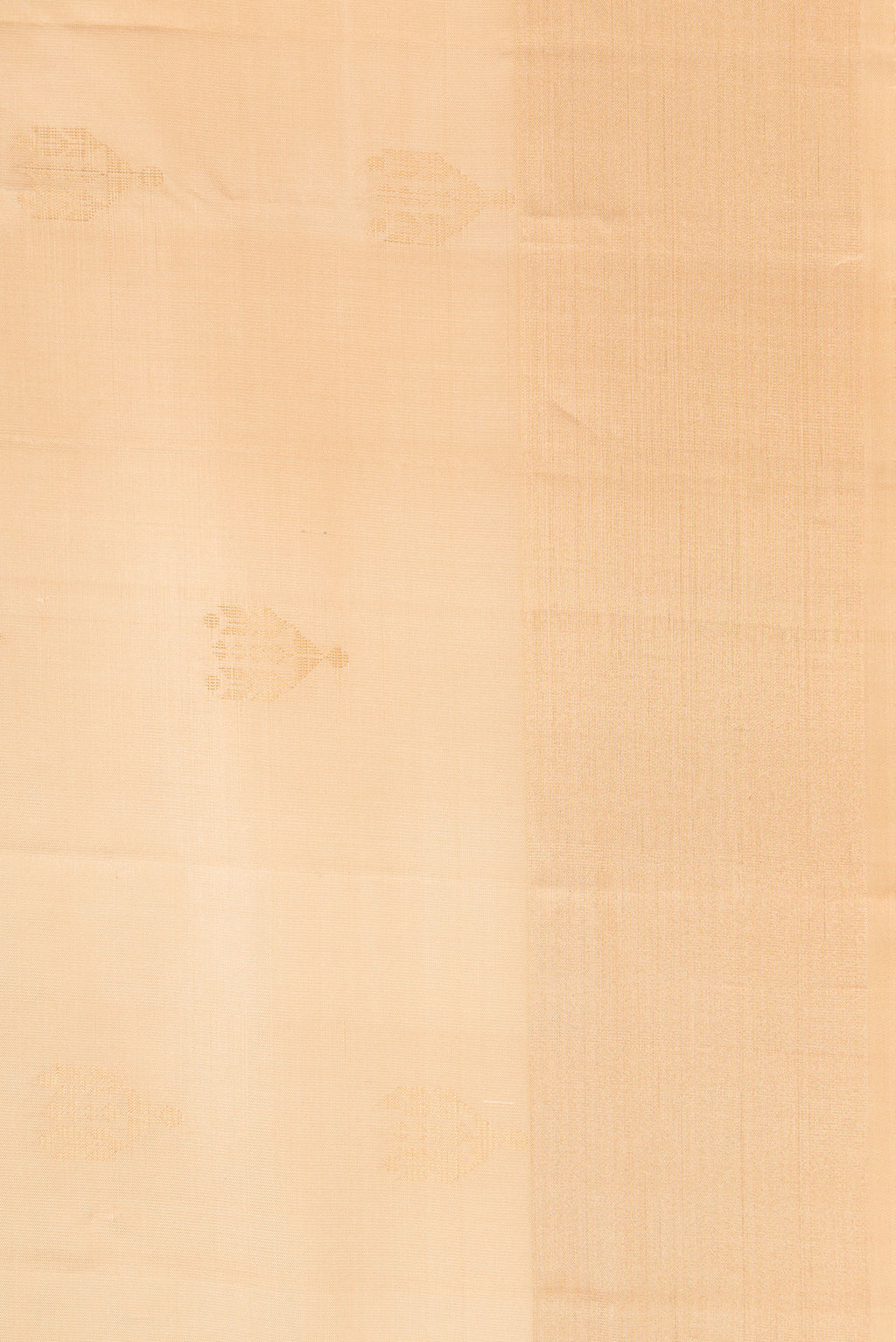 Border image of Beige Dual Tone Soft Silk Saree with Zari Butta on the body and Zari Border. 