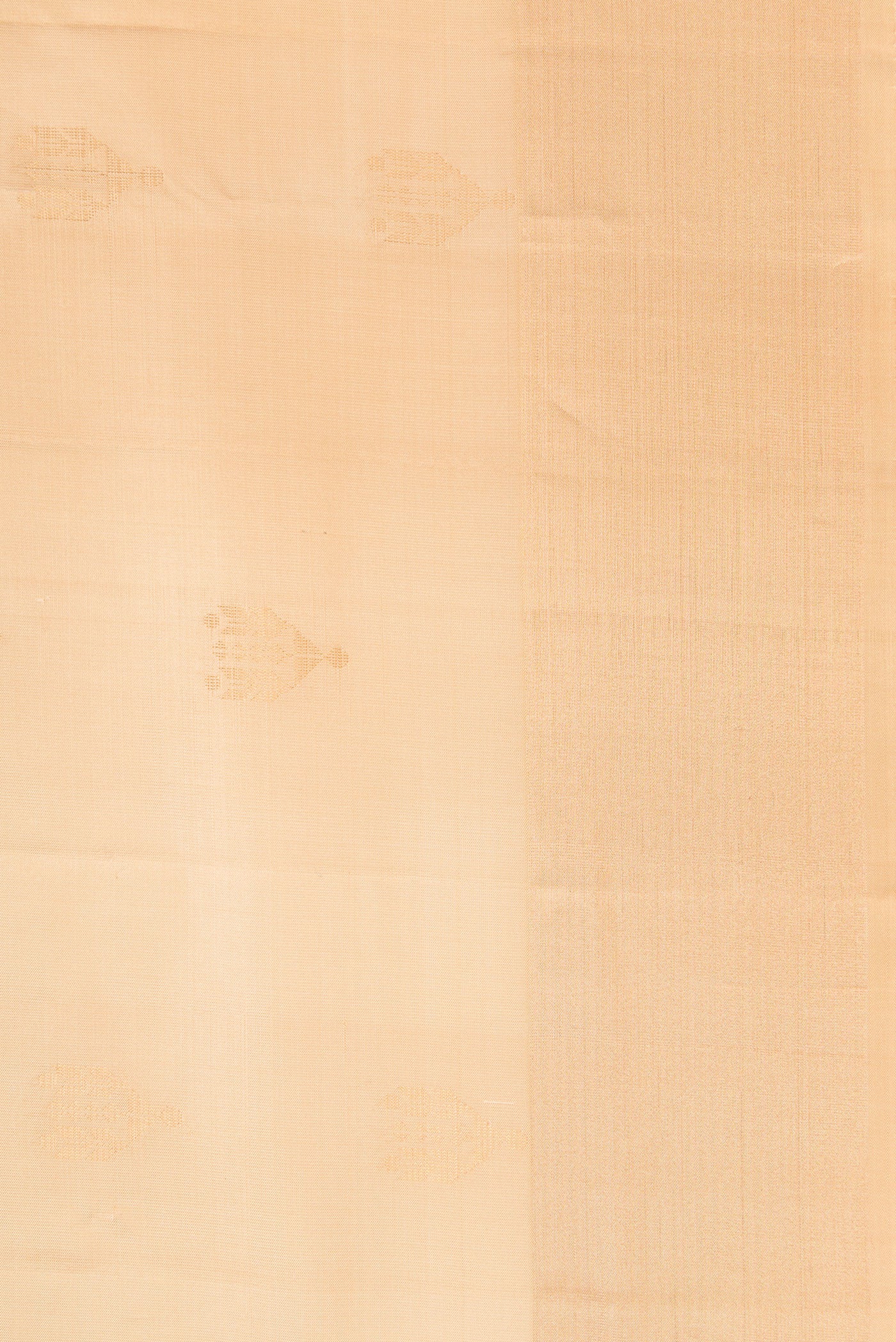 Border image of Beige Dual Tone Soft Silk Saree with Zari Butta on the body and Zari Border. 
