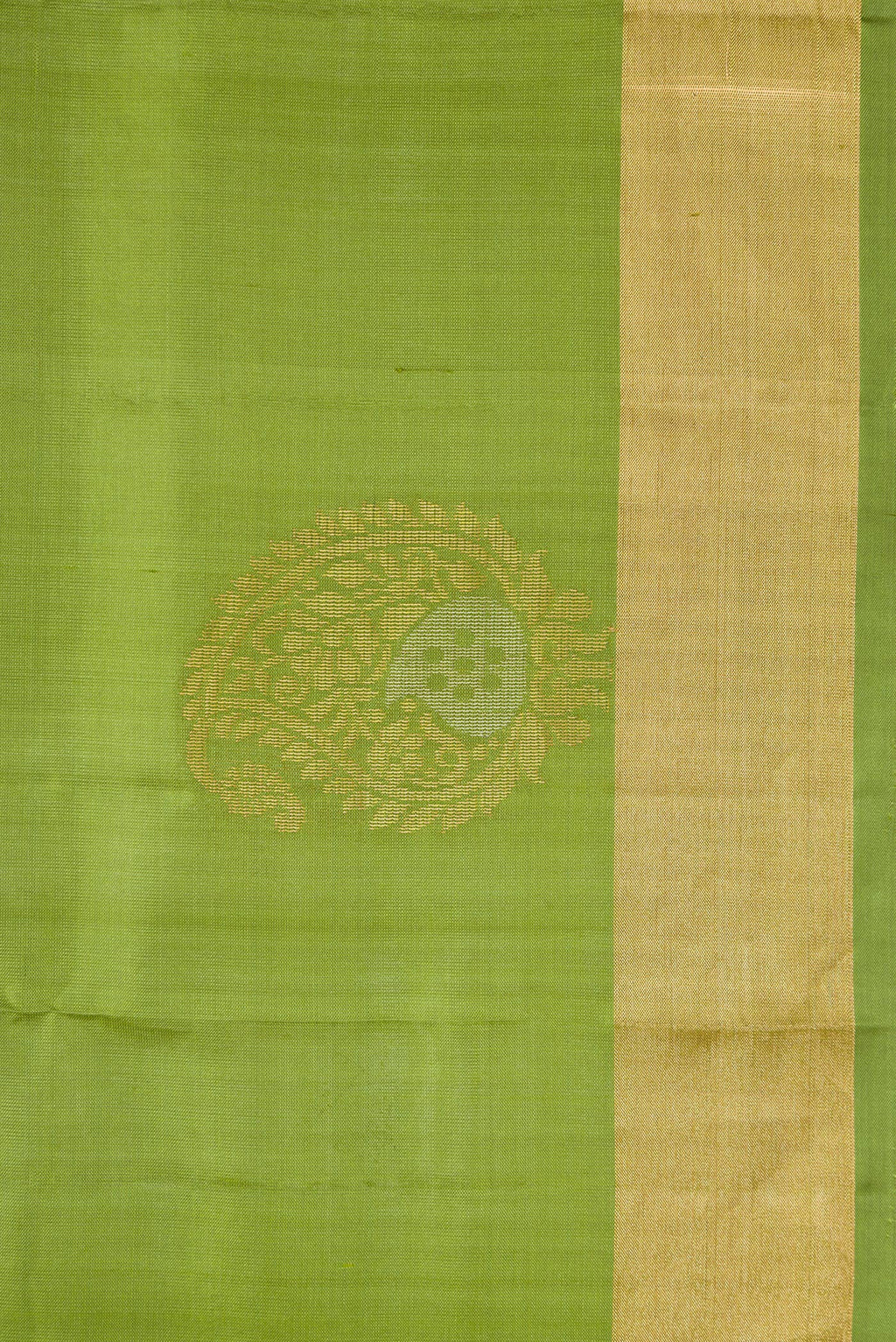 Border image of Pista Green Dual Tone Soft Silk Saree with Zari Butta on the body and Zari Border. 