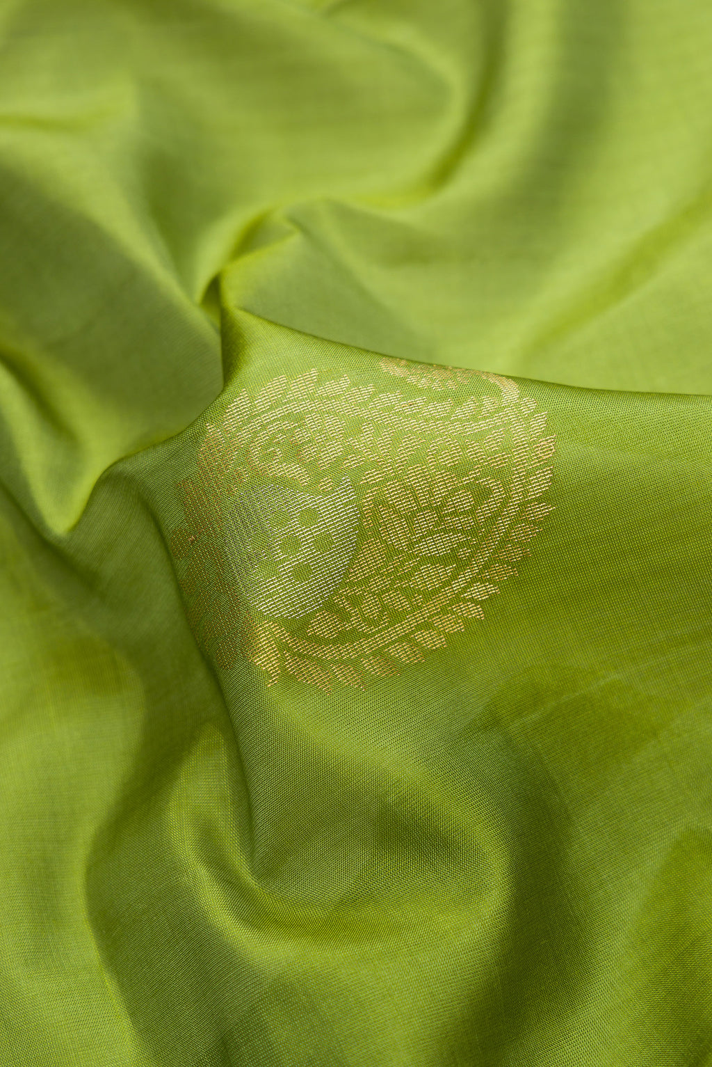 Close up of Pista Green Dual Tone Soft Silk Saree with Zari Butta on the body and Zari Border.  displaying folds