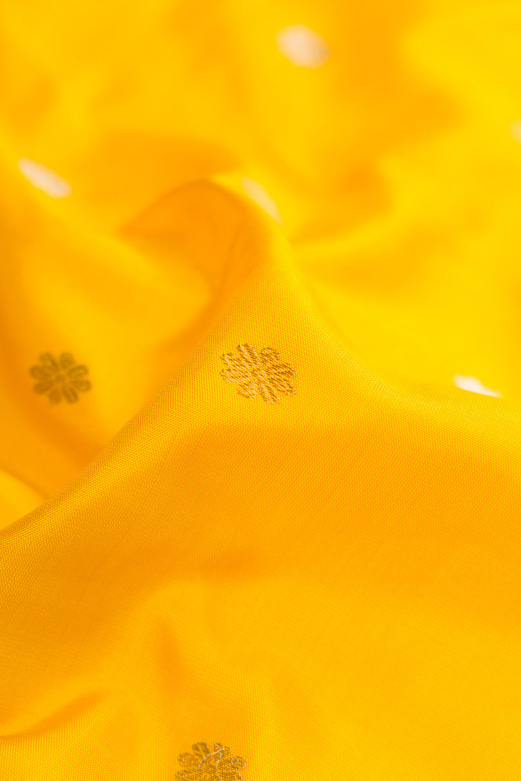 Close up of Mustard Dual Tone Gadwal Silk Saree with Zari Butta on the body and Zari Border.  displaying folds