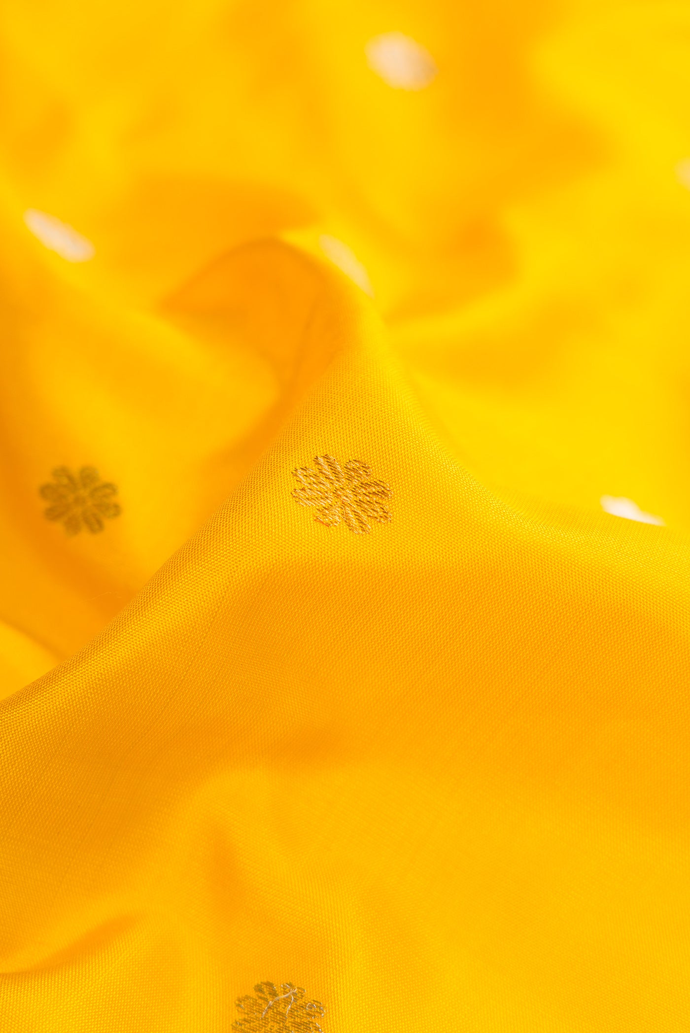 Close up of Mustard Dual Tone Gadwal Silk Saree with Zari Butta on the body and Zari Border.  displaying folds
